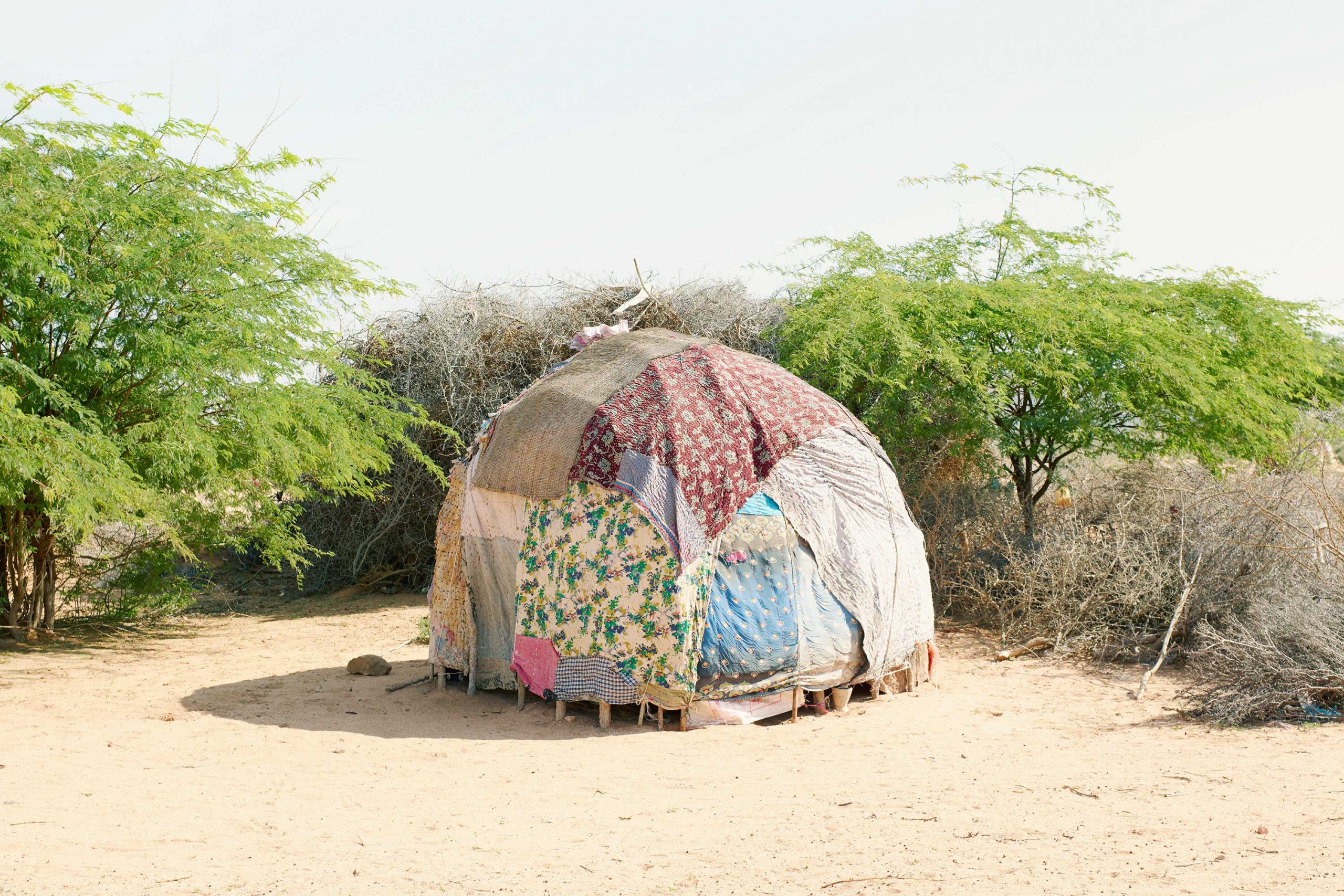 Felicity-McCabe-Wren-Agency-Somaliland-P65-620-Bildhari