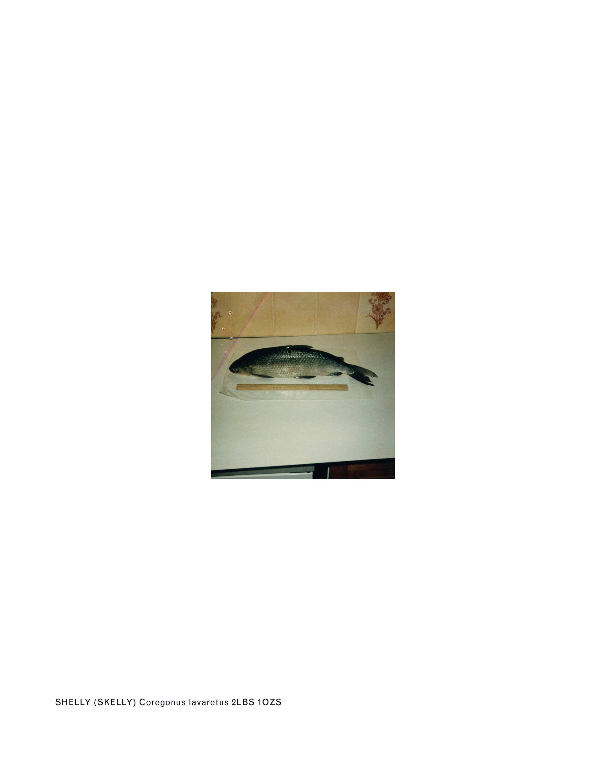 wren-agency-luke-stephenson-british-record-fish4