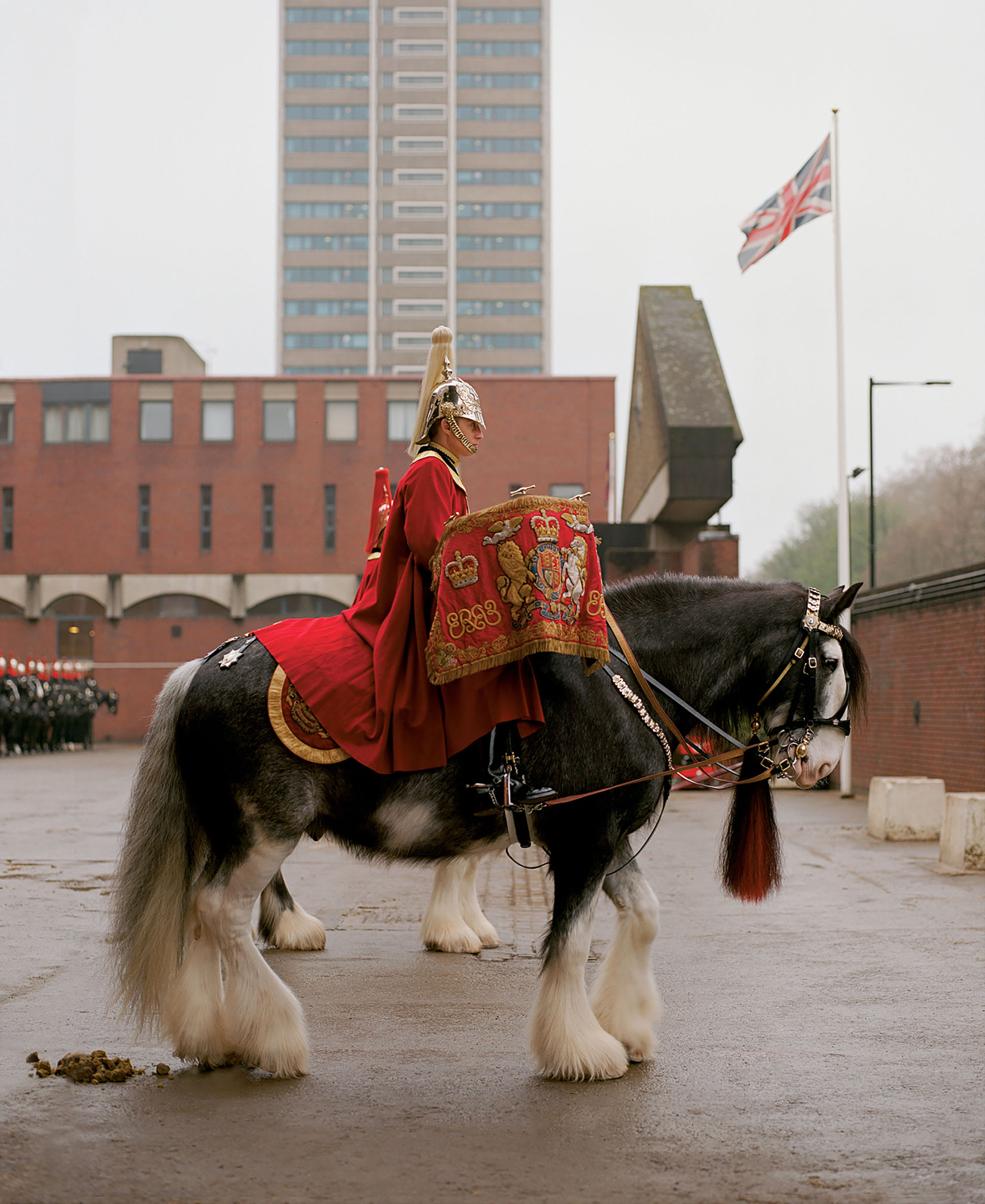 Cavalry - A bandsman of the household cavalry 2019 by Rachel Louise Brown
