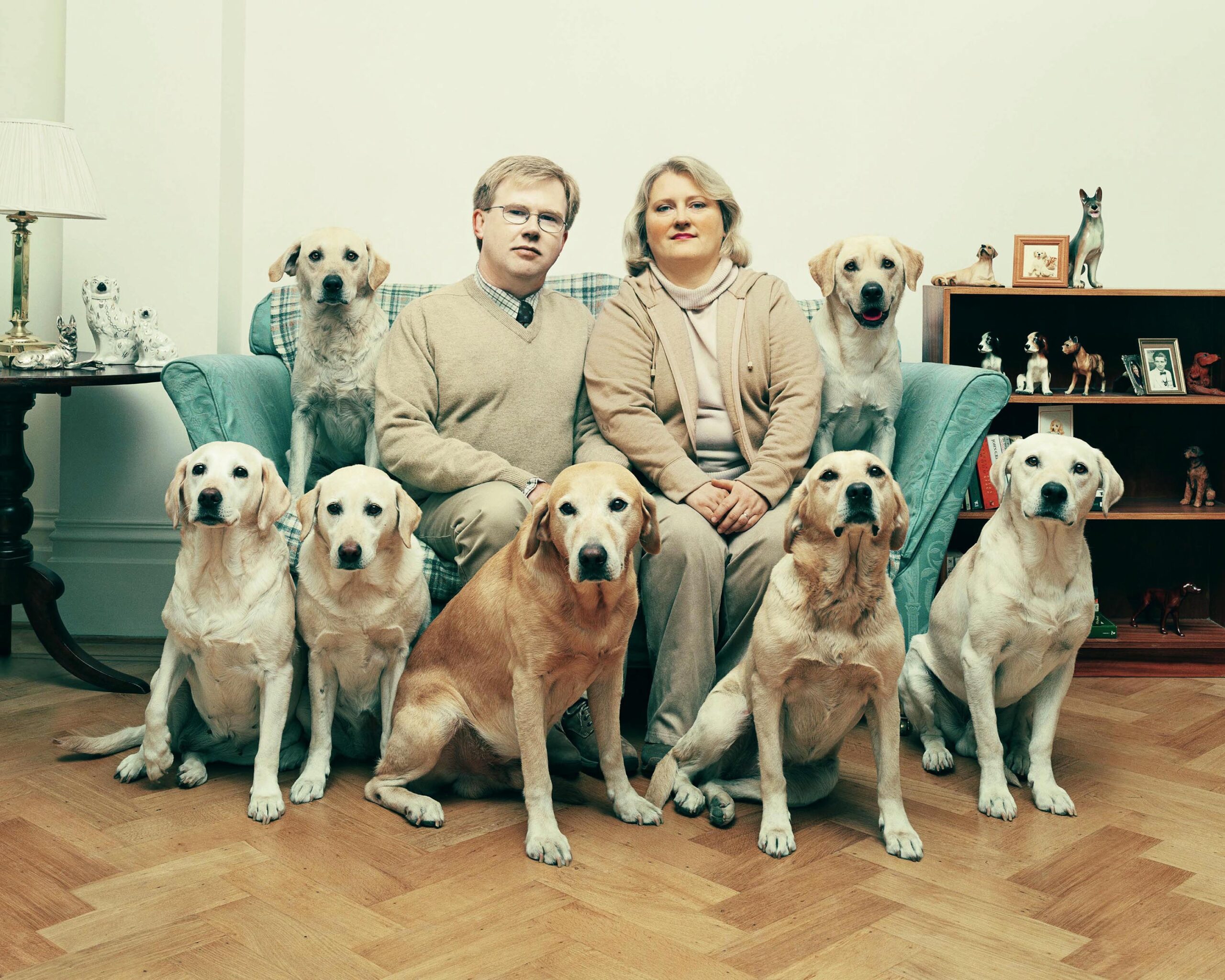 DAVID_STEWART_Dog family