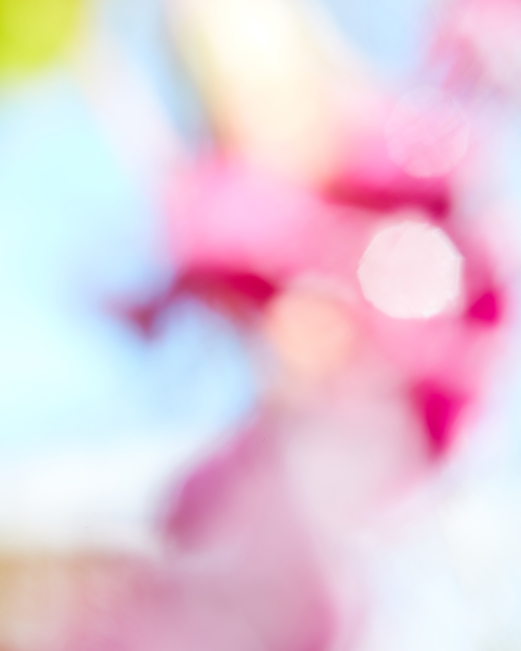 LUKE_EVANS_RESIZE_WILDSMITH-LUKE-EVANS-44