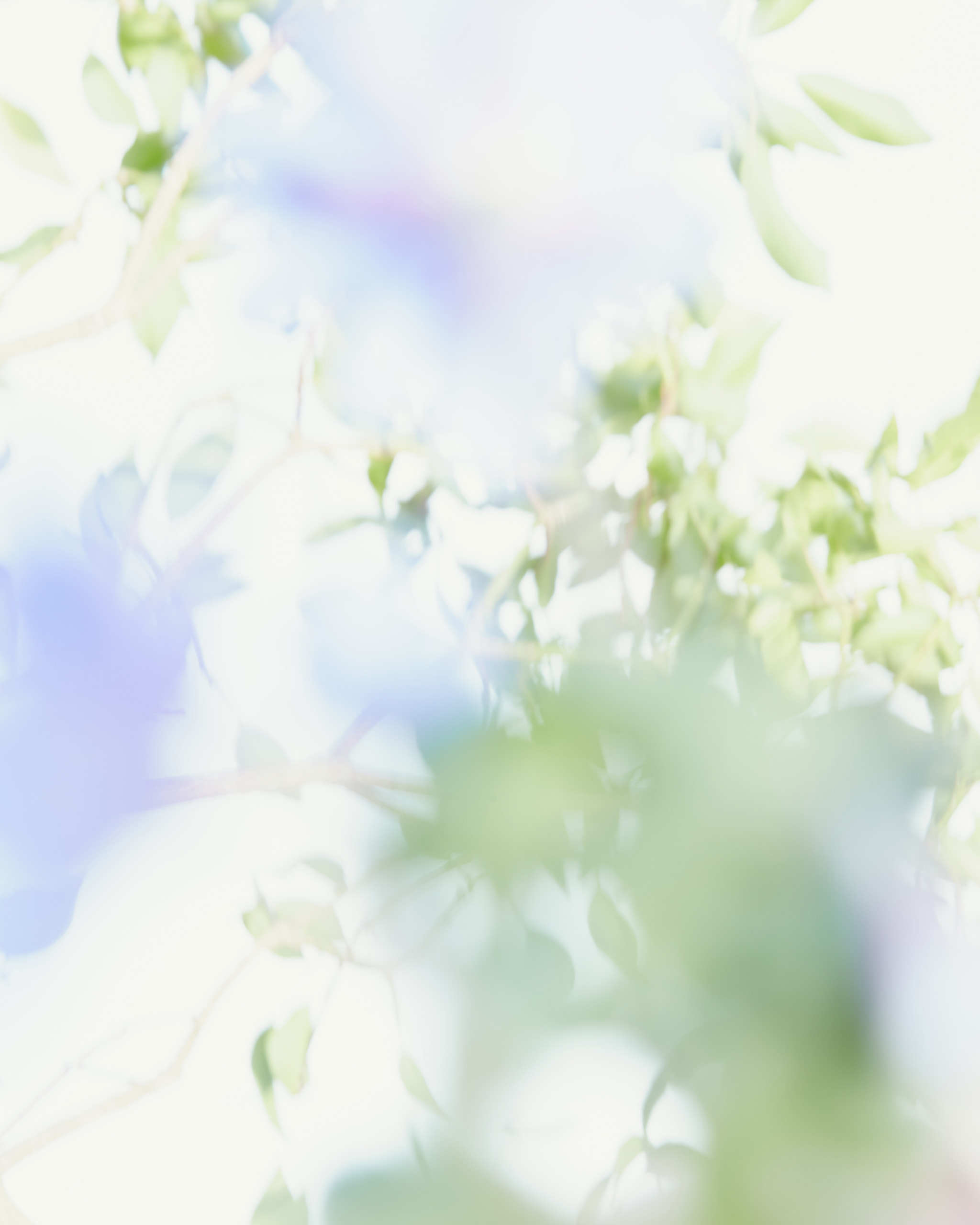 LUKE_EVANS_RESIZE_WILDSMITH-LUKE-EVANS-6