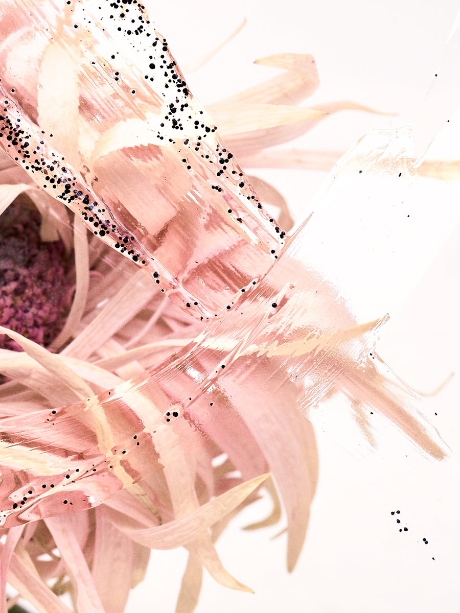 WrenAgency_FelicityMcCabe-Chrysanthemum Detail_sRGB