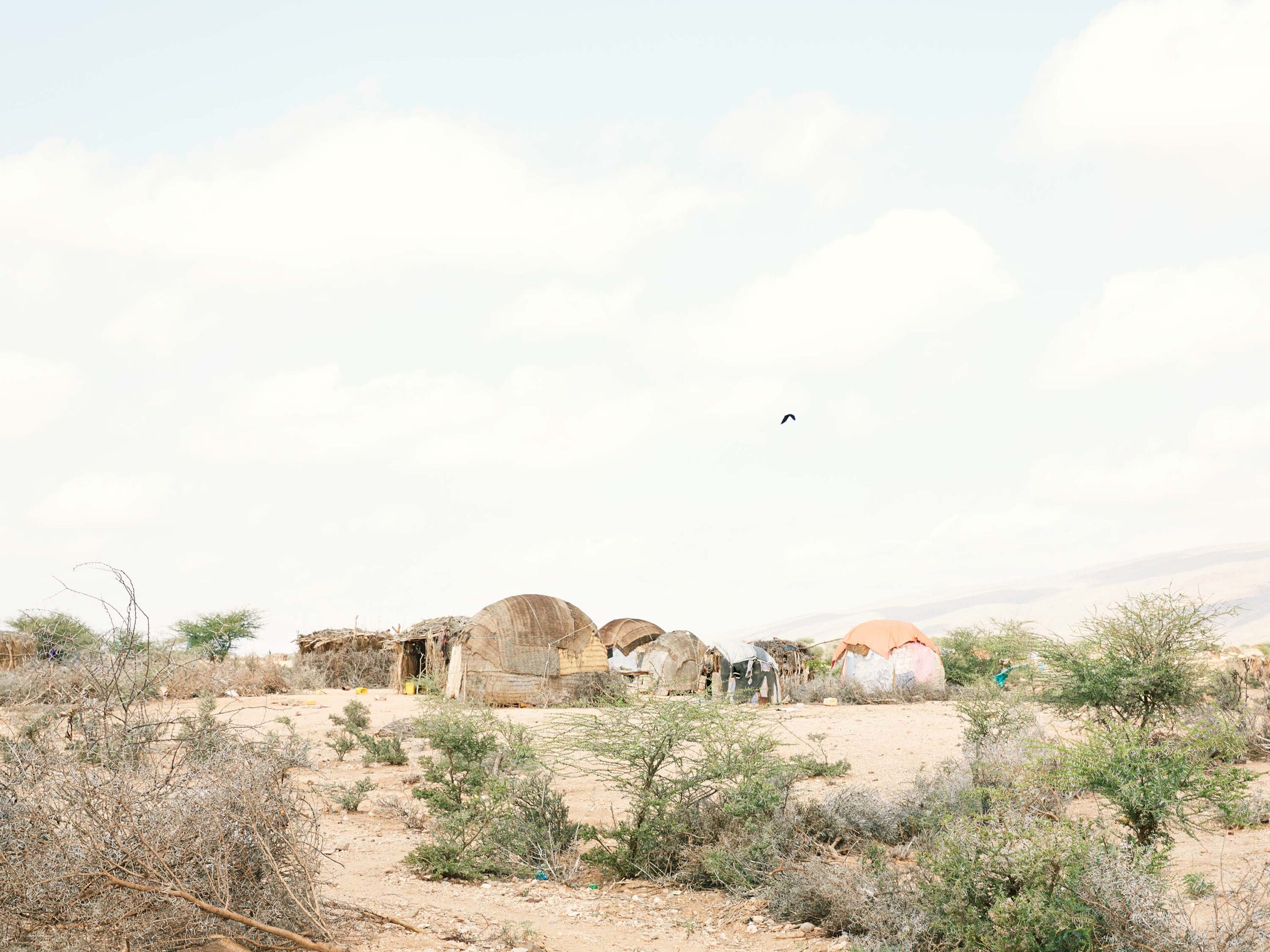 WrenAgency_FelicityMcCabe_Dryland_Somaliland-5D_481_Gagaara-IDP-Camp