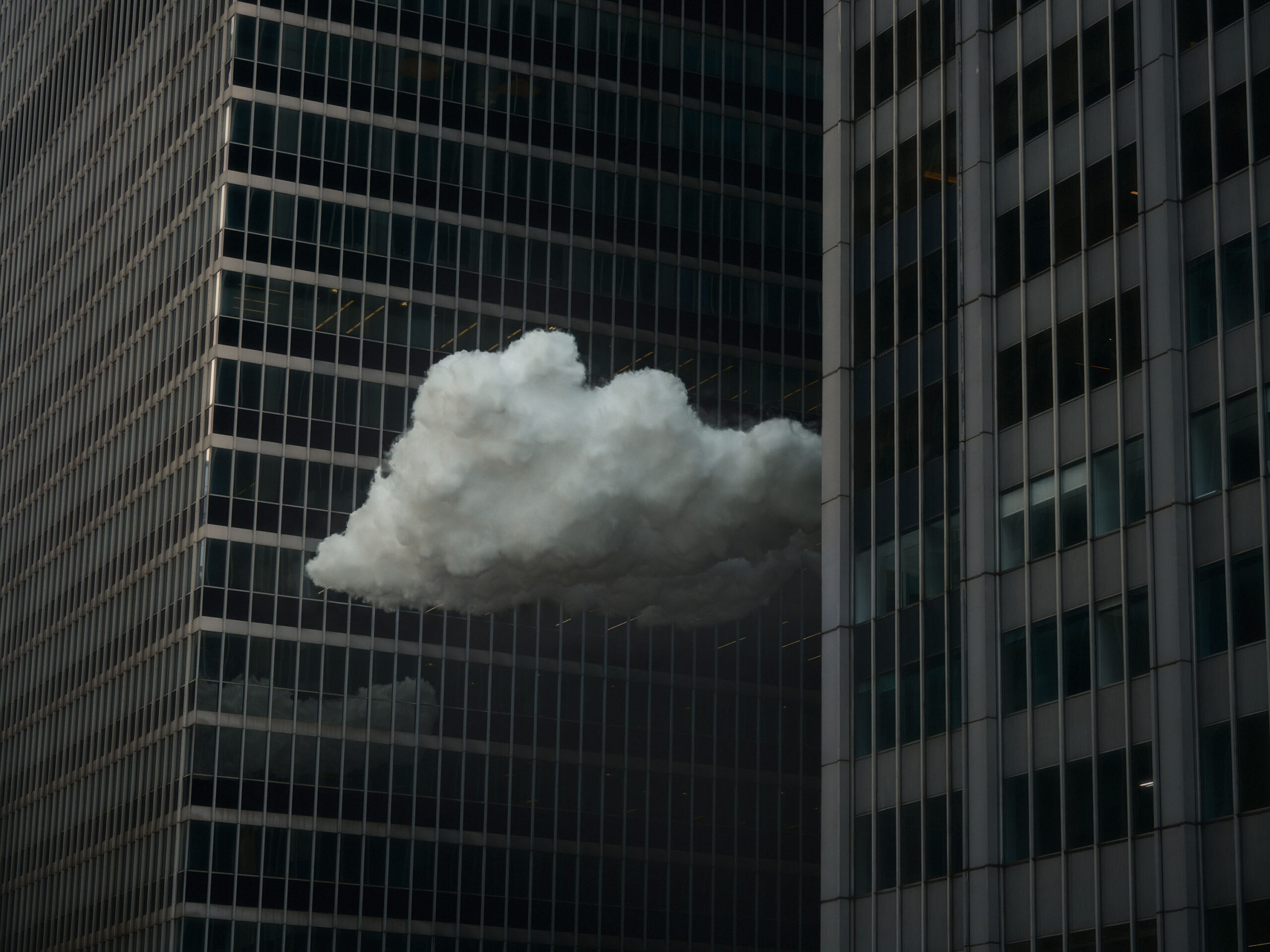 WREN-Nick_Meek-Little Fluffy Clouds-5