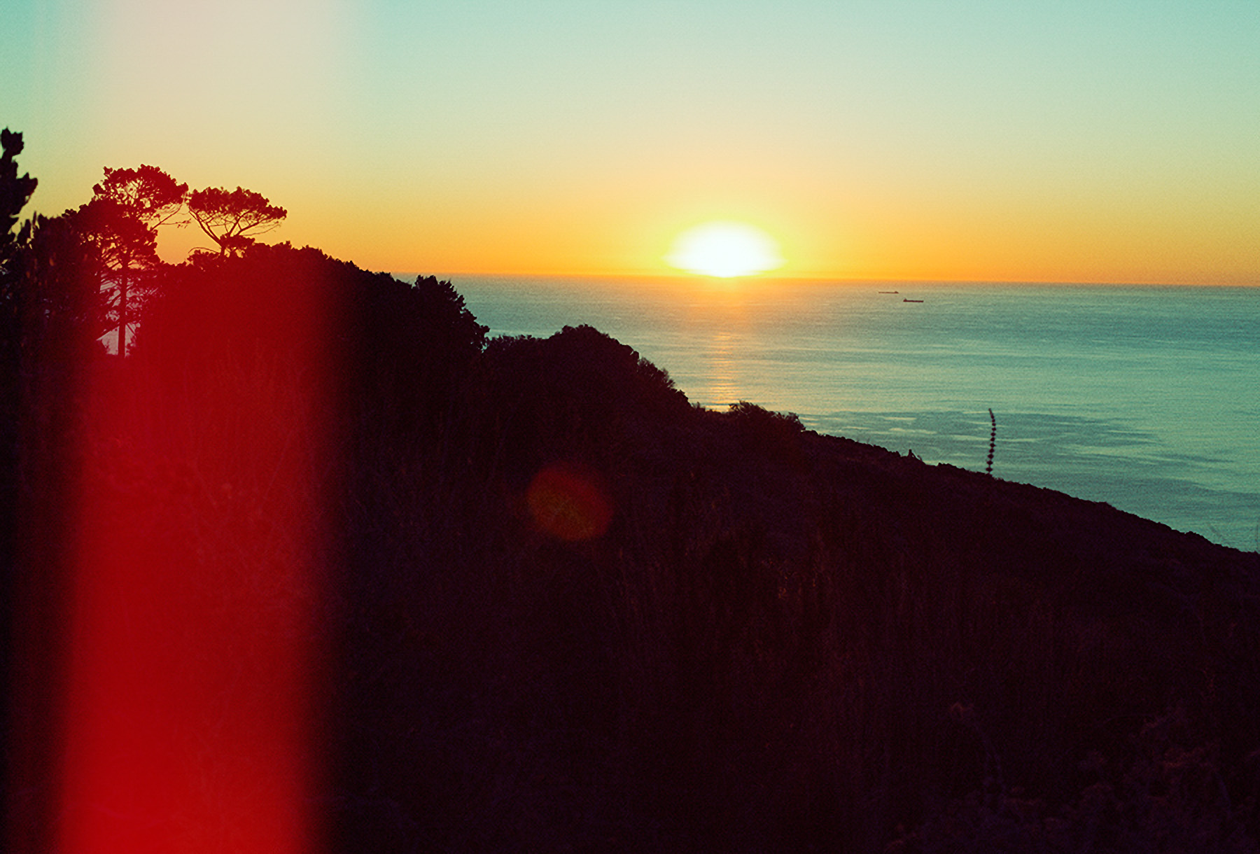 WREN-Marcus_Palmqvist-South-Africa4