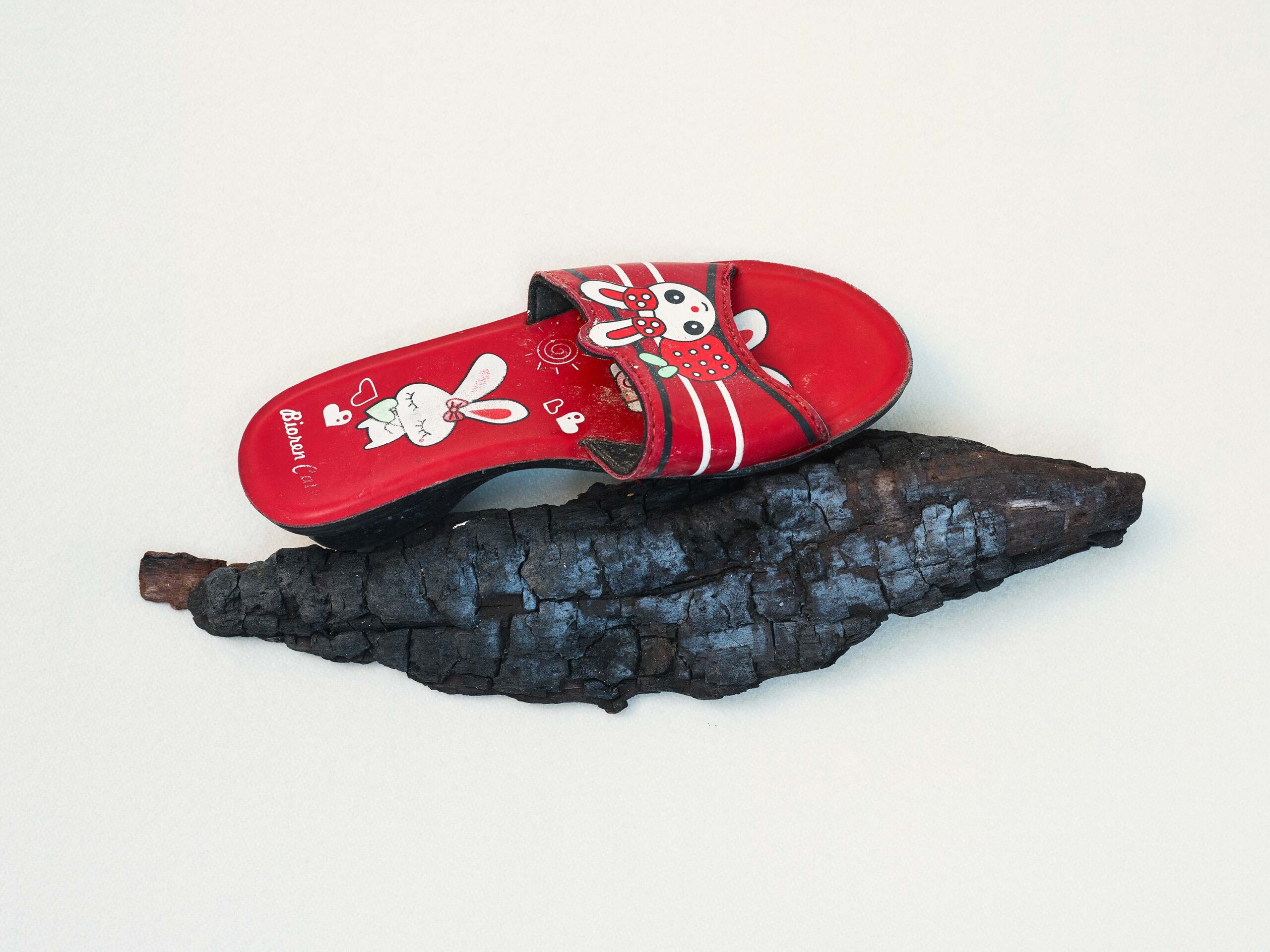 38-WrenAgency_FelicityMcCabe_First-of-England_Childs-Shoe-and-Burnt-Wood-Dungeness_sRGB-scaled