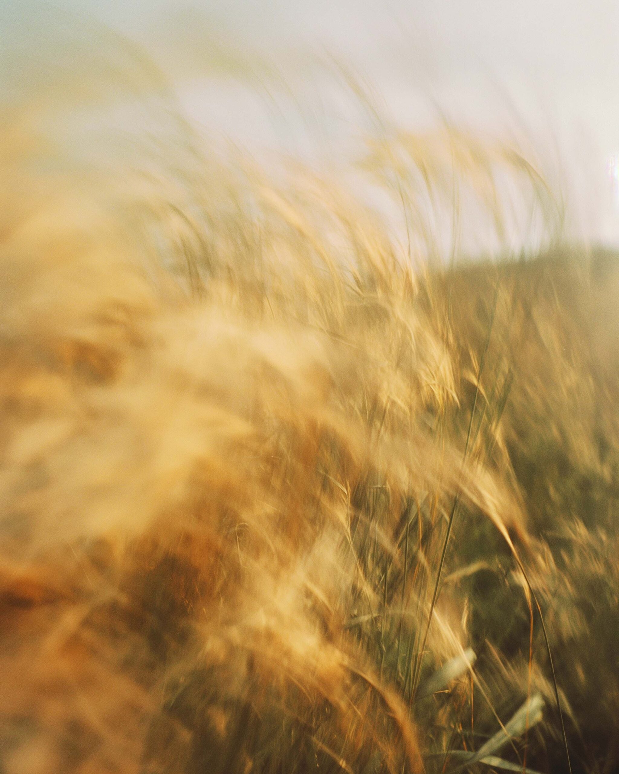 WREN-LUKE-EVANS-24-02-25_18