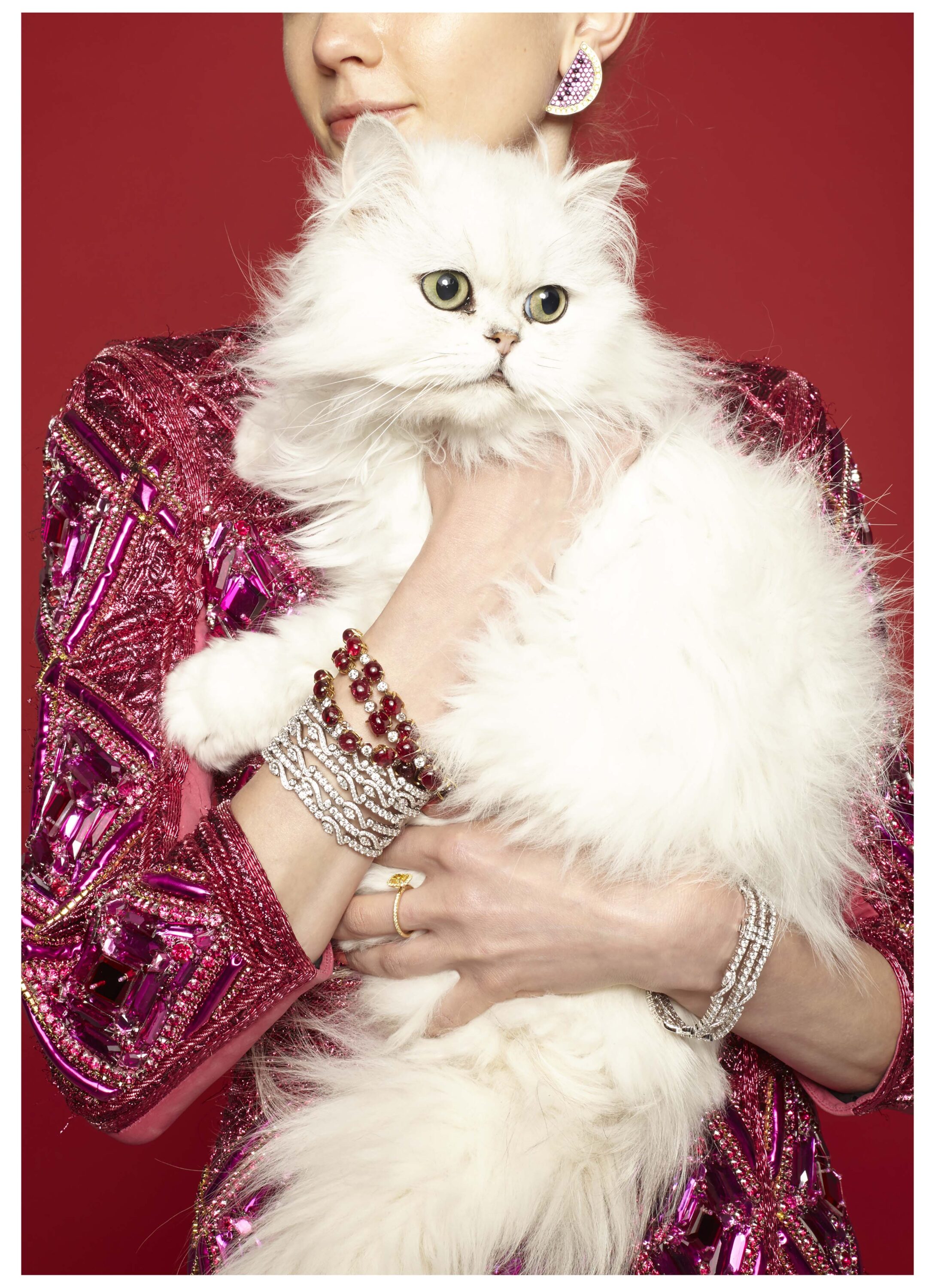 WREN-Luke Stephenson-Shot_03_ST_Cats_0173x
