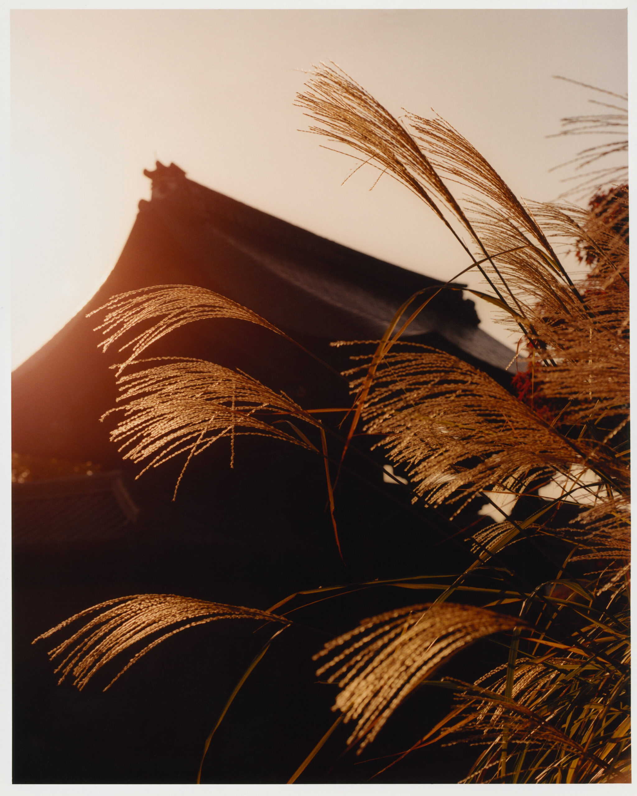 WREN-Luke_Evans_Japan_19
