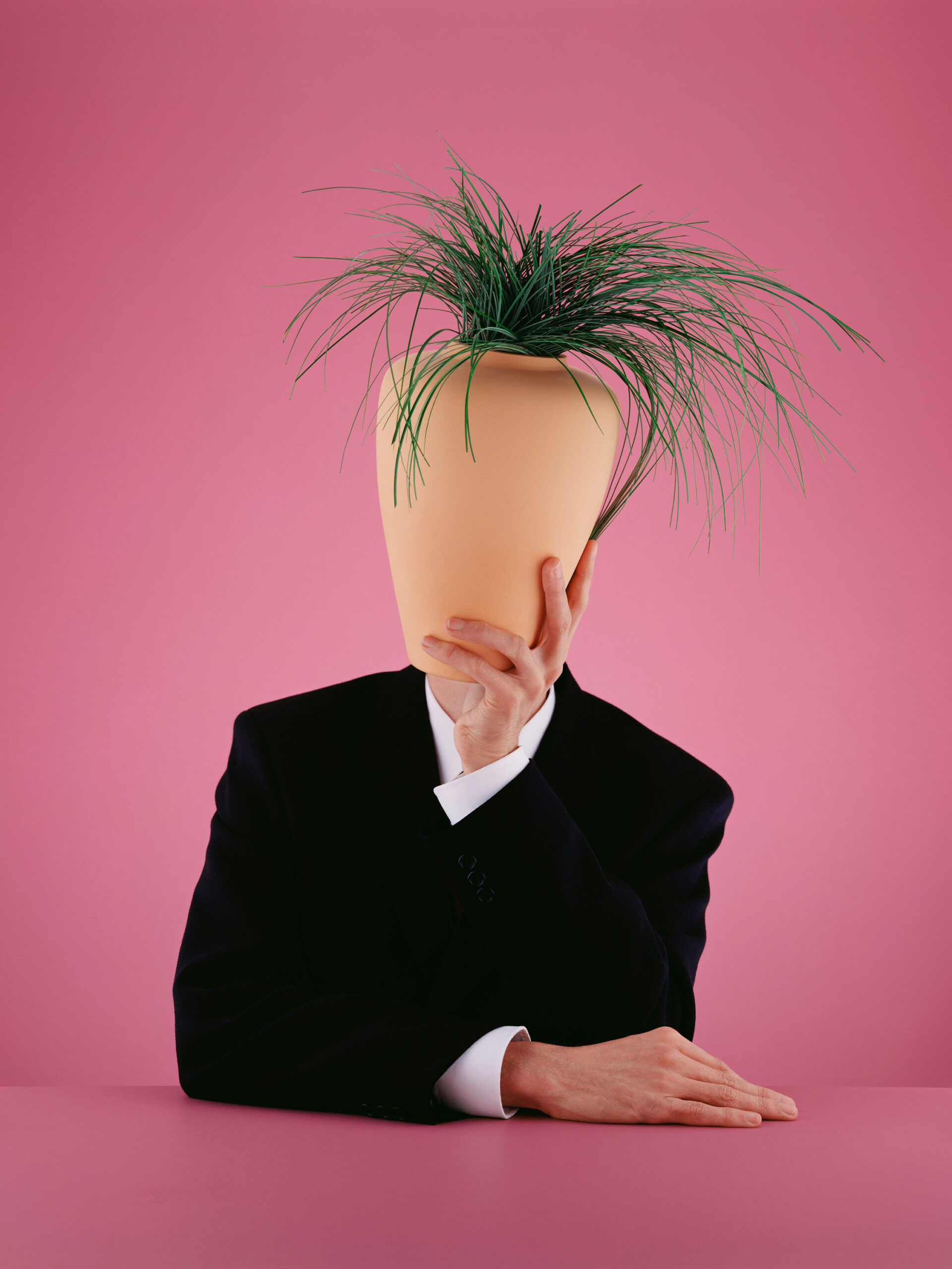 WREN-David_Stewart-Heals Pot Head