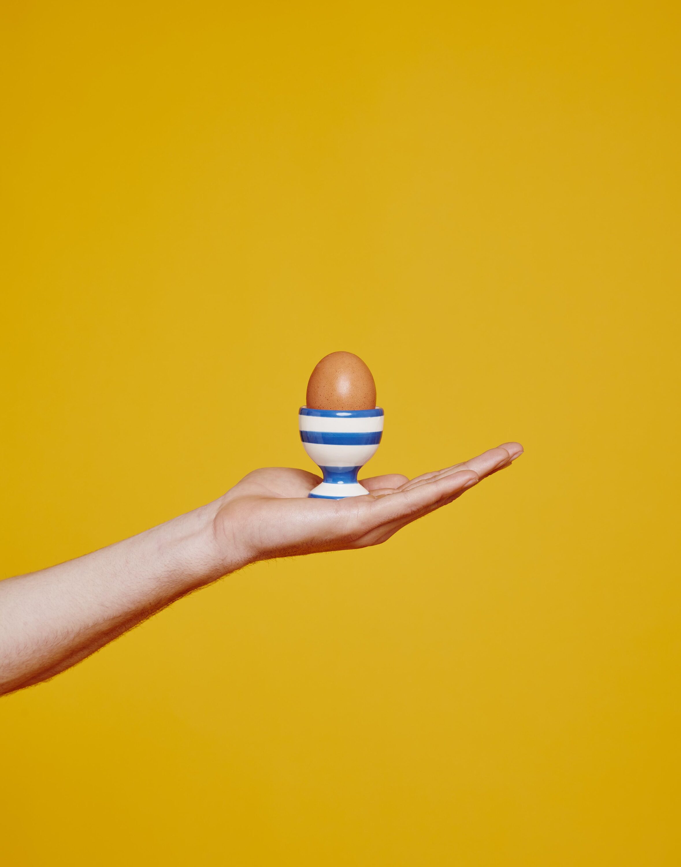 WREN-Luke_Stephenson-IMG_7695