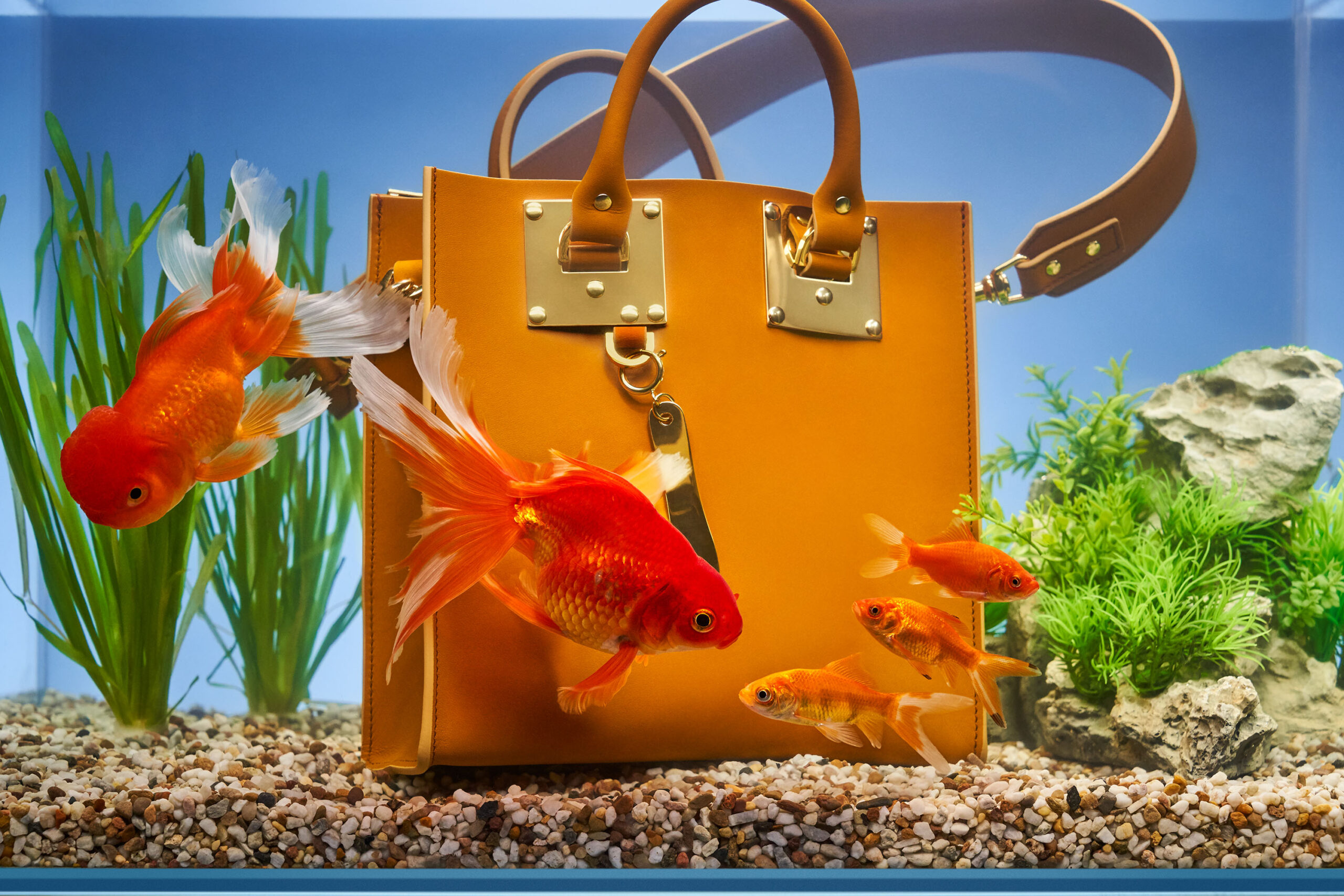 WREN-Luke_Stephgenson-Sophie_Hulme_Fish_Tank_02_218f