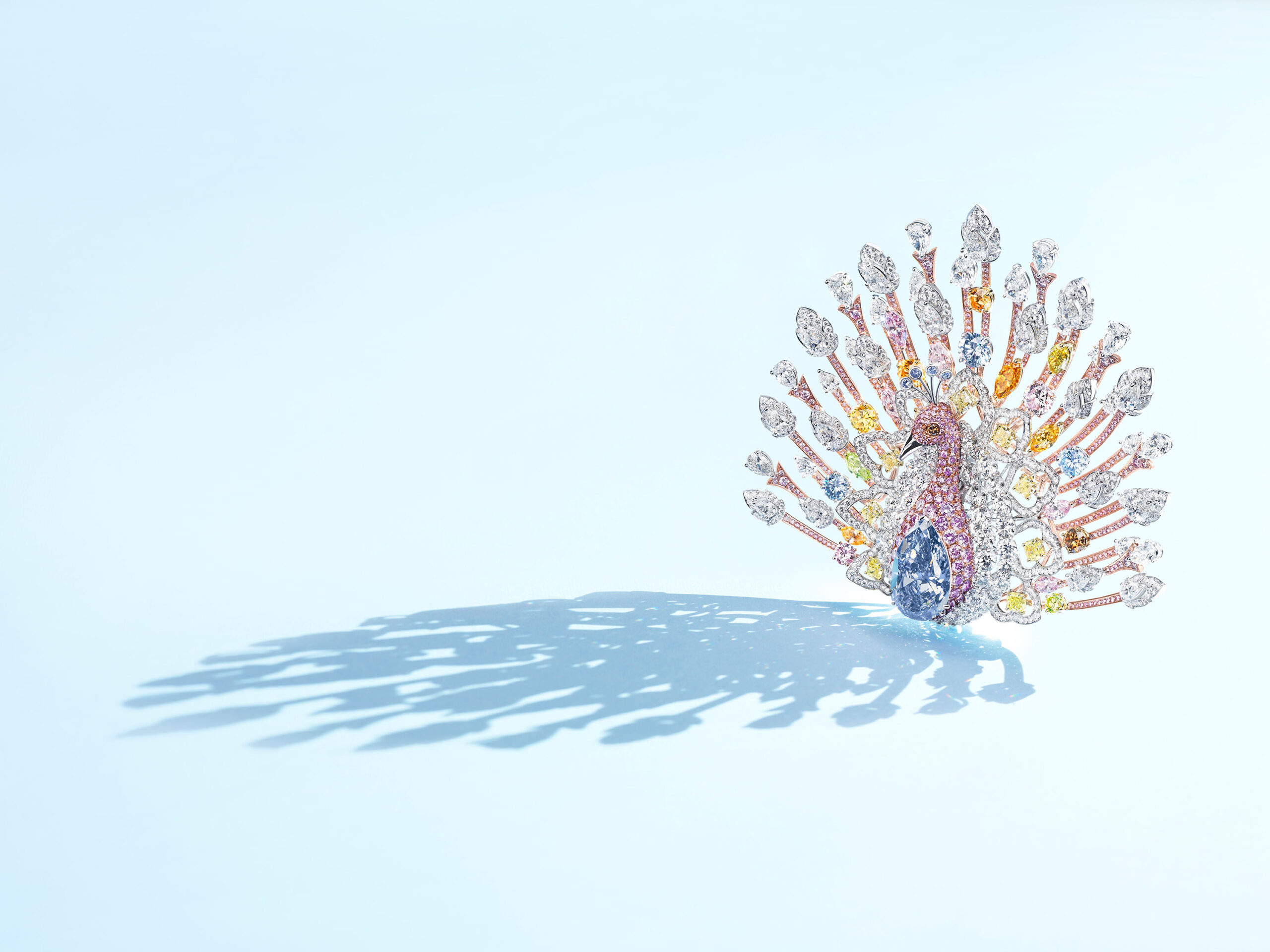 WREN-Richard_Foster-rf3677_graffiti_peacock
