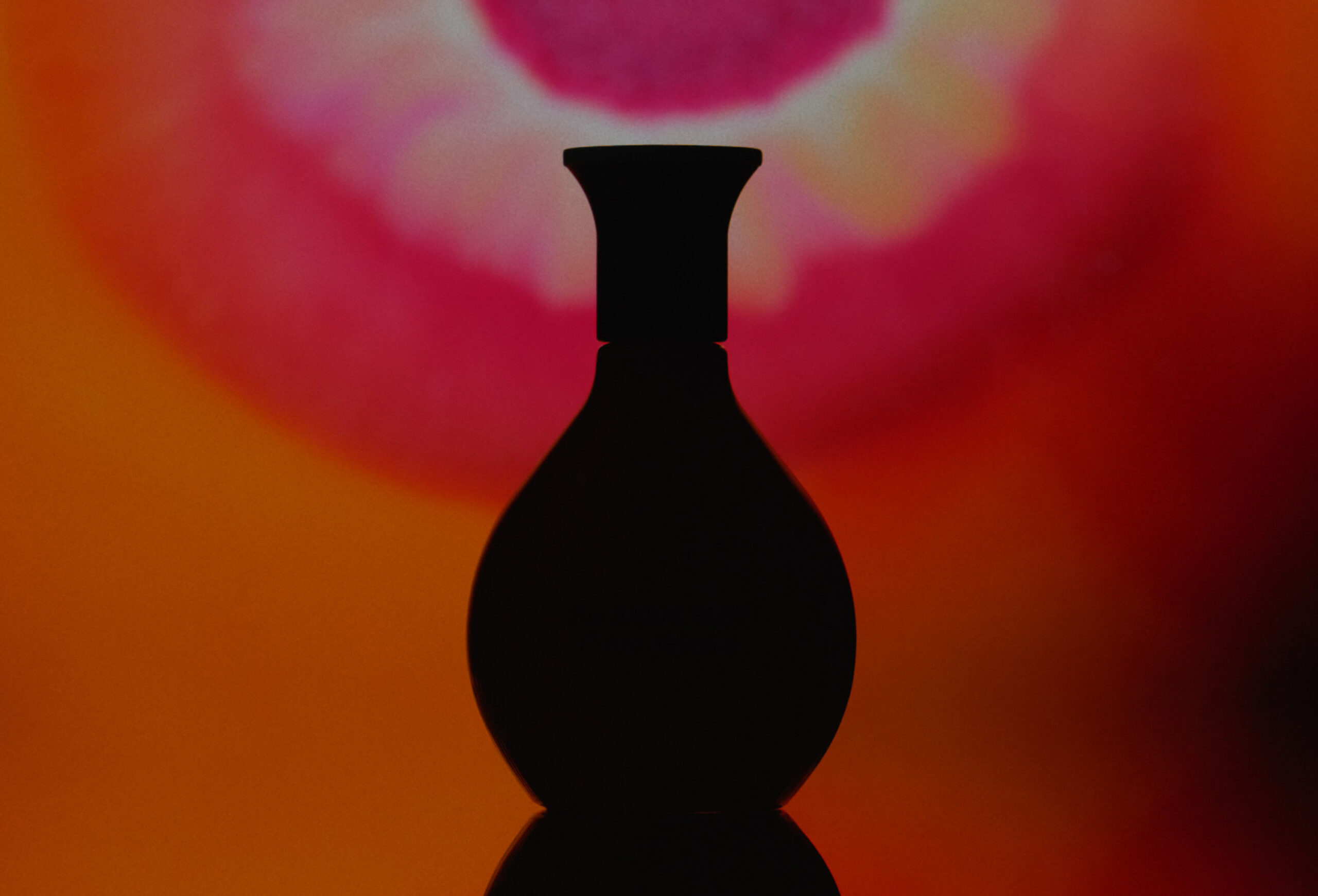 title-WREN-LukeEvans-HARMONIST_NEBULAE_FLORA_MOTION_STILL_1_F1_16x9_1