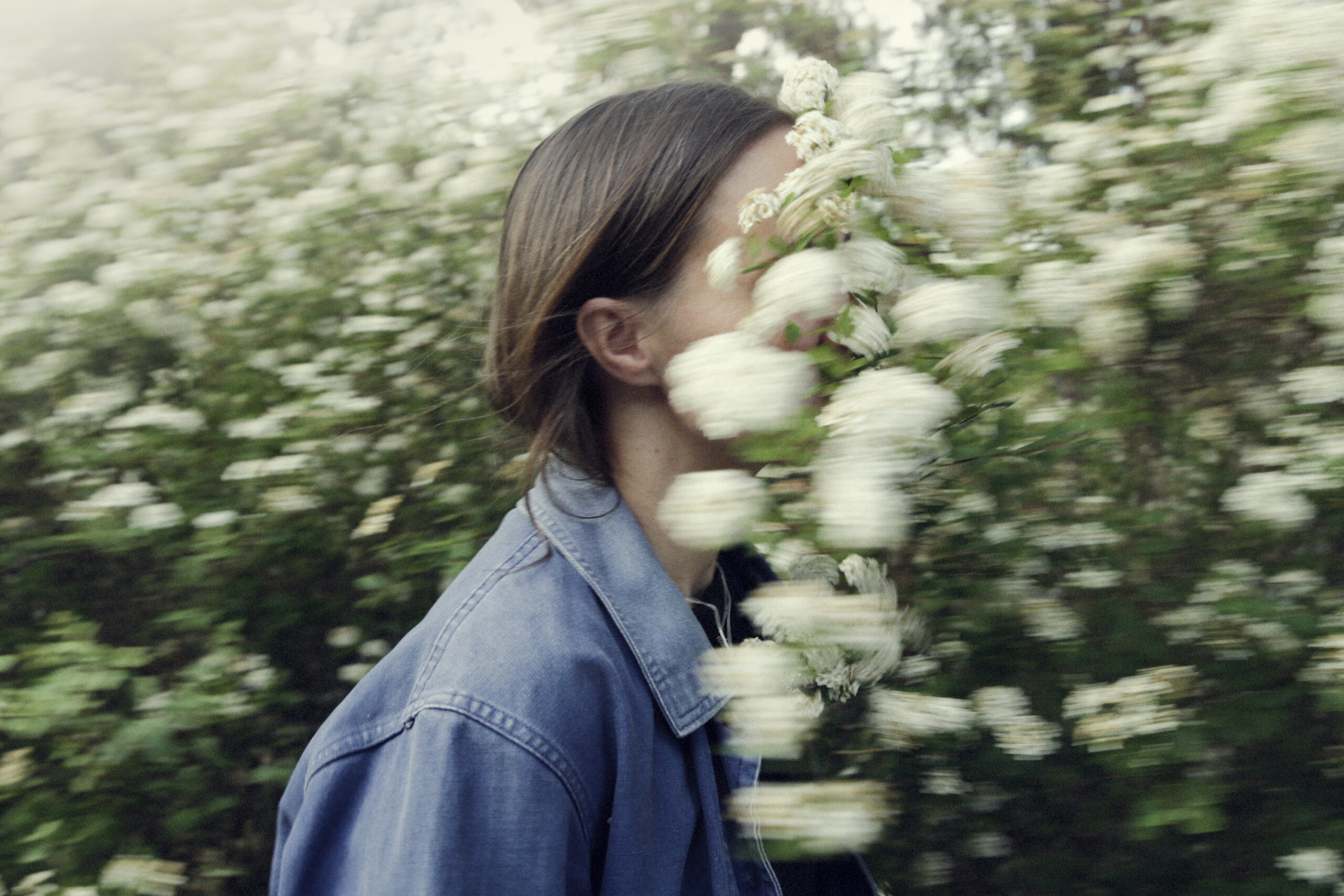 WREN-MARCUS_PALMQVIST-_L8A8310