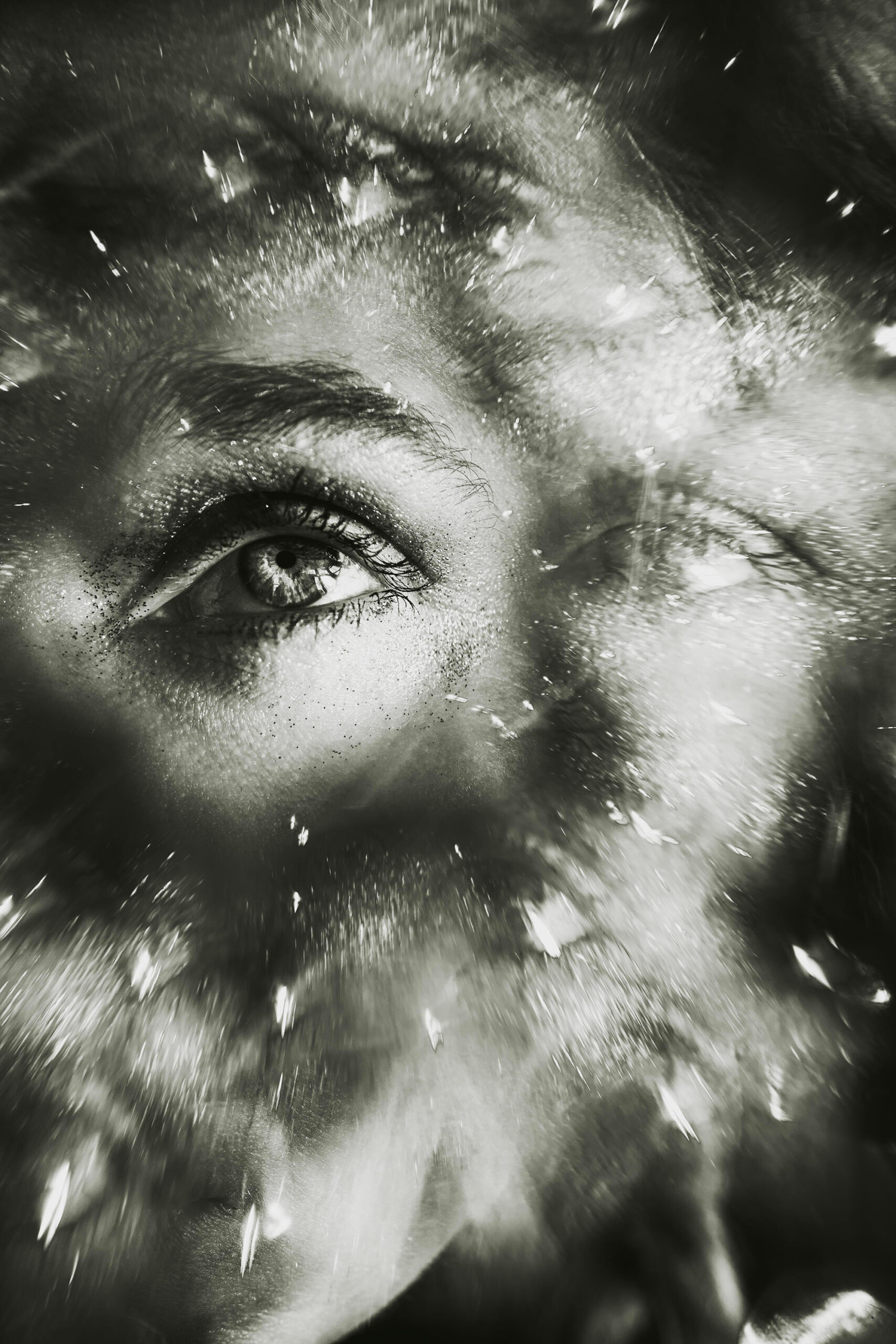 WREN-JONE_REED-Distortion-19