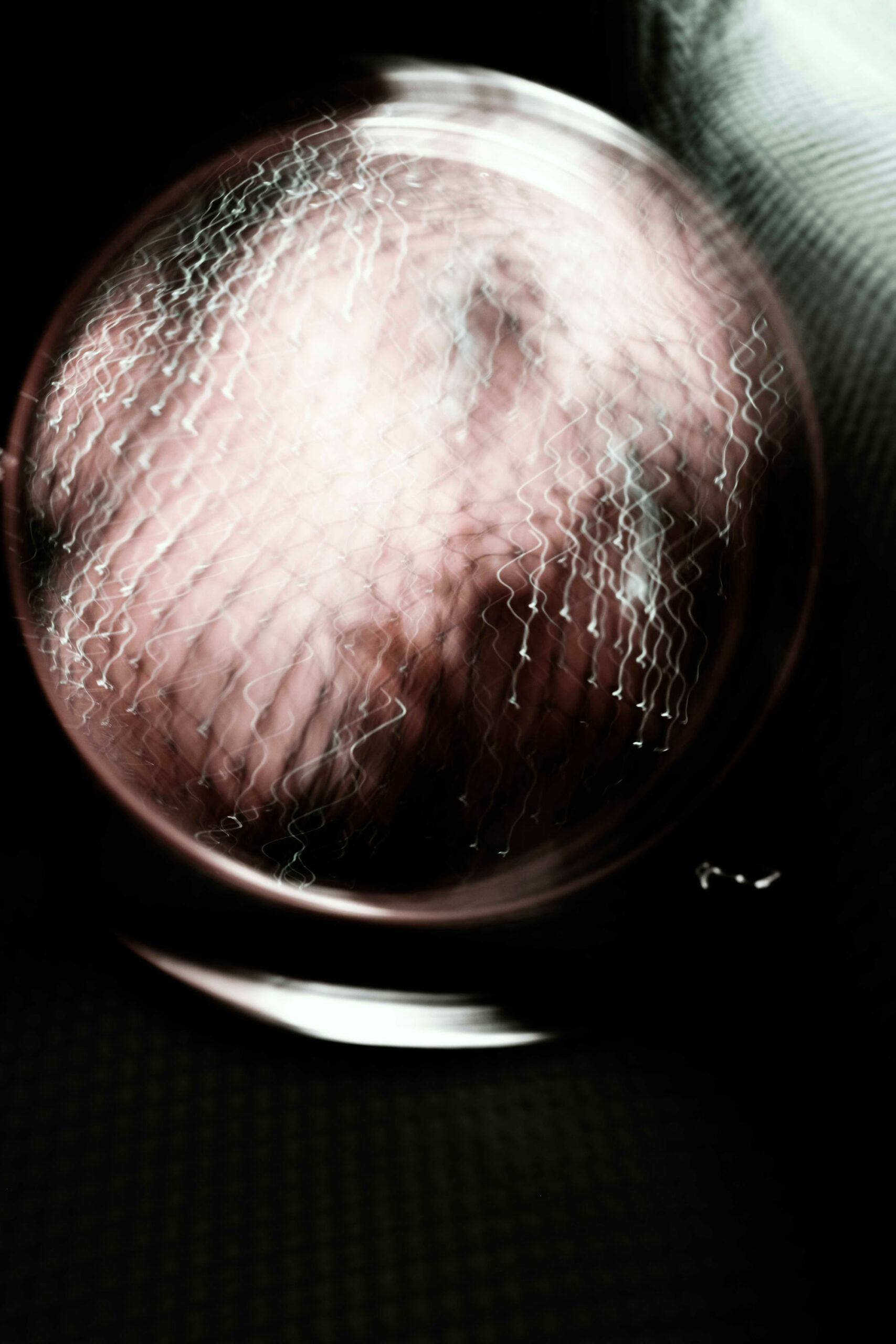 WREN-JONE_REED-Distortion-23