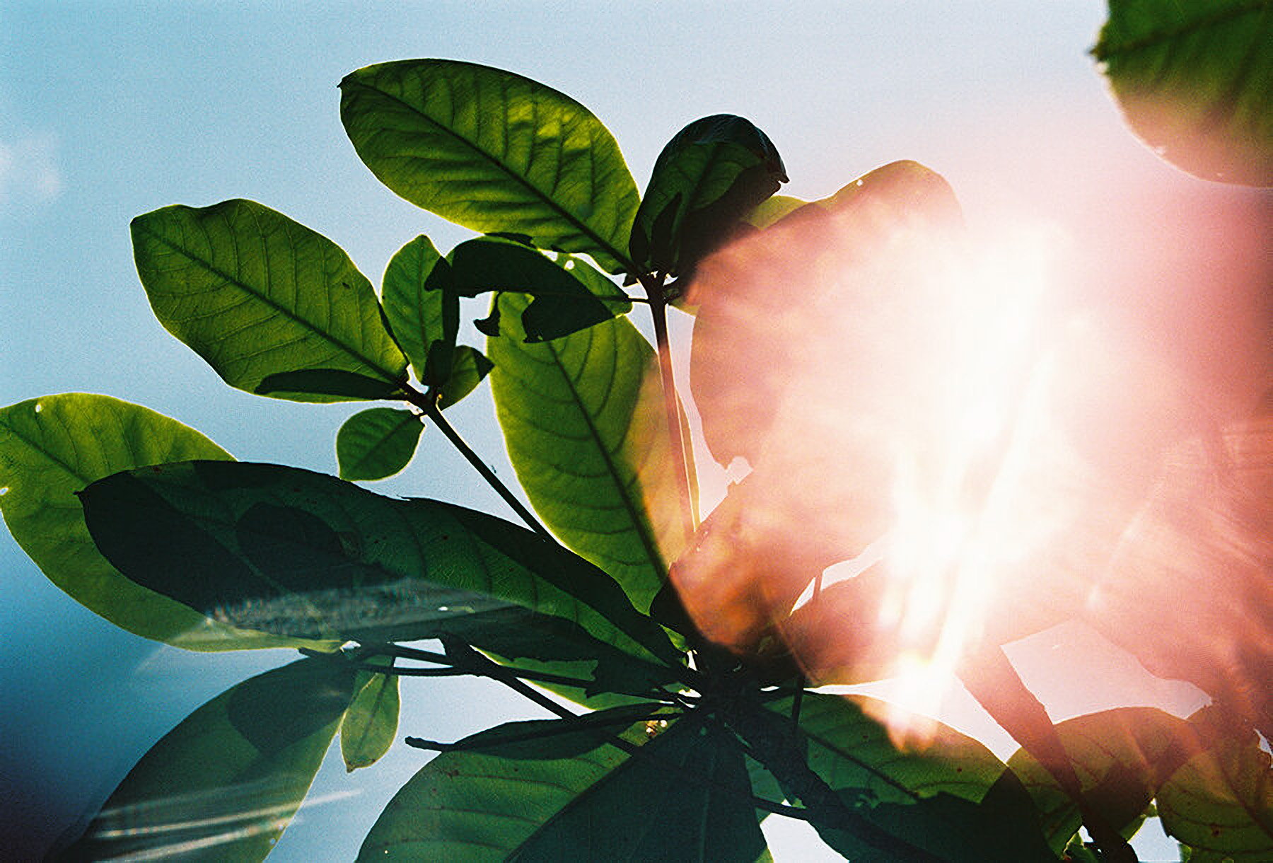 WREN-MARCUS_PALMQVIST-SriLanka170221_0003-Enhanced-SR