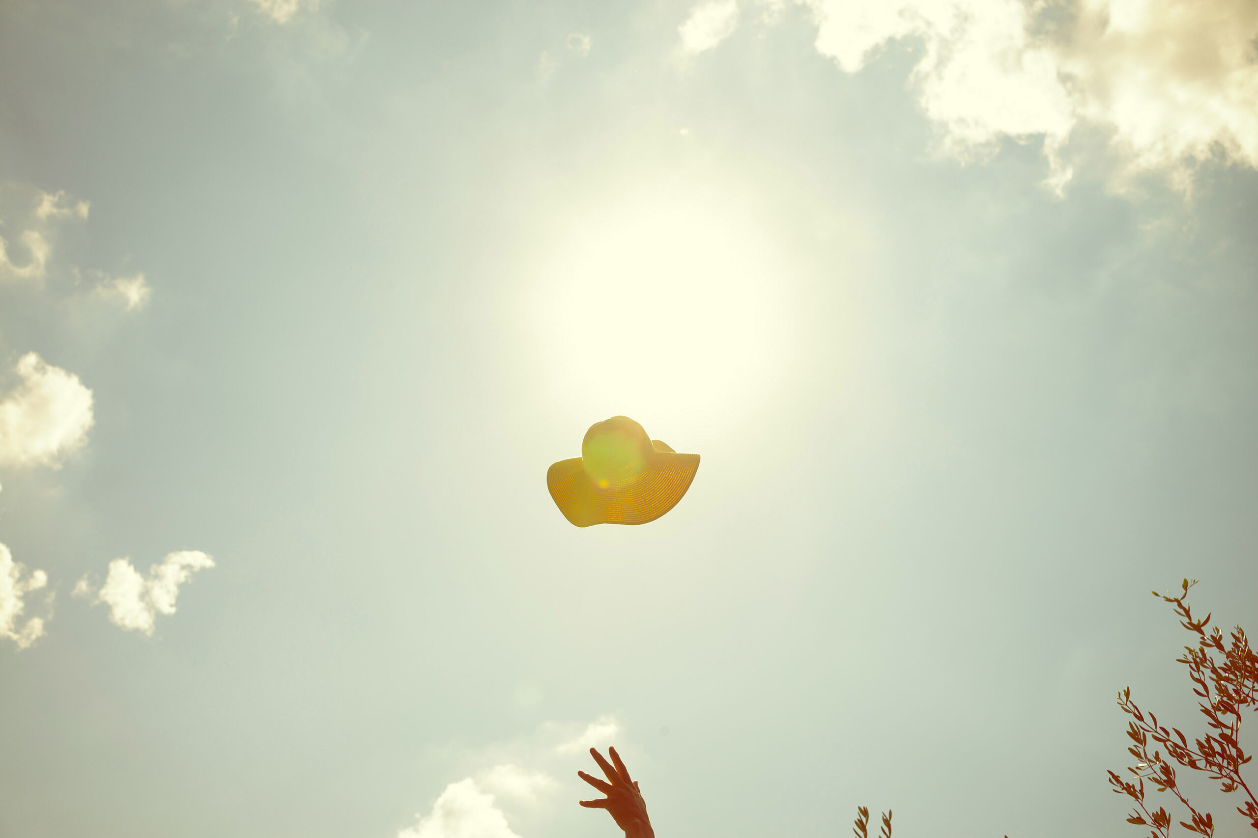 WREN-Nick_Meek-A_bigger_splash_3