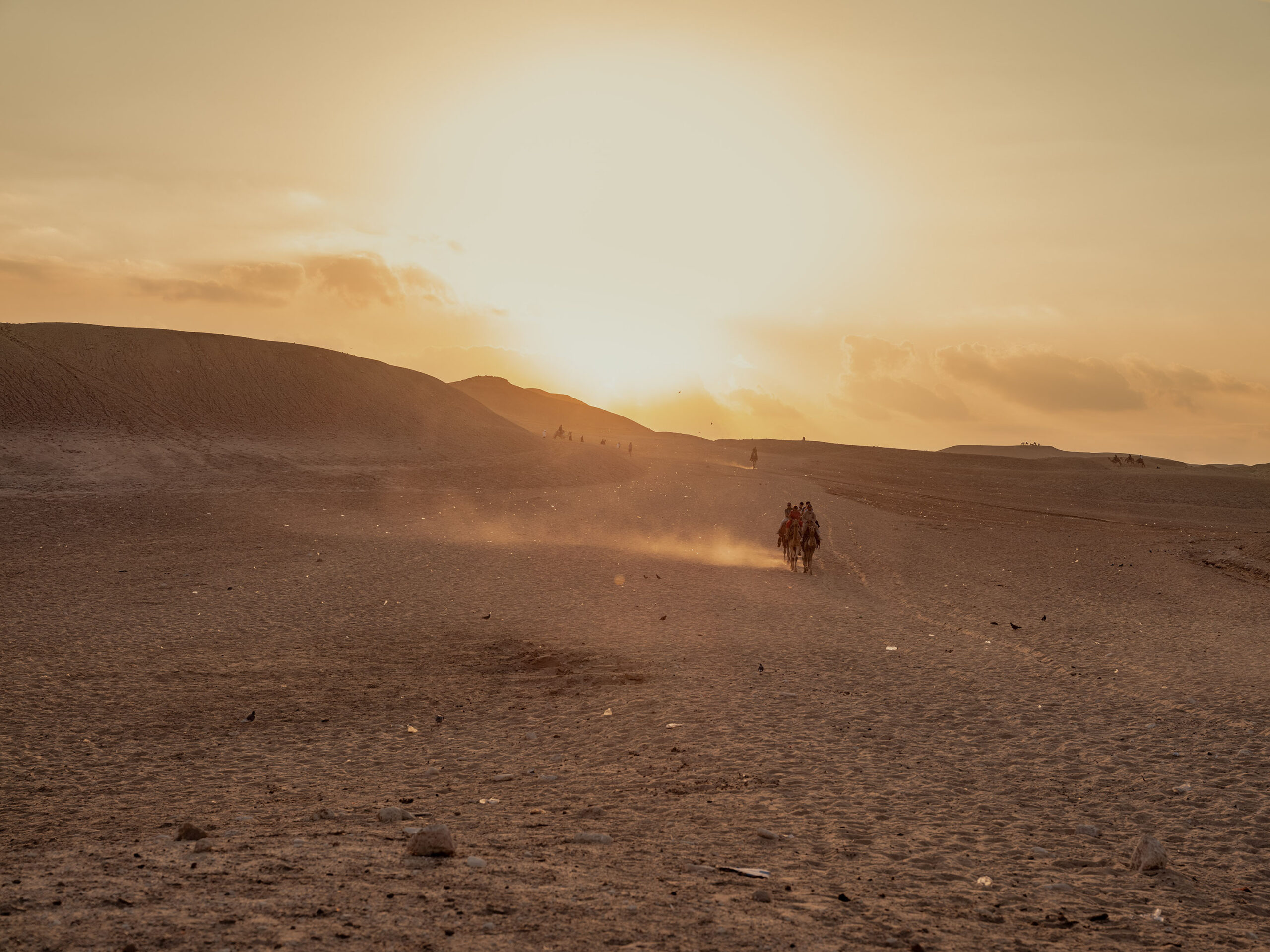 WREN-Nick_Meek-Cairo_sunset copy