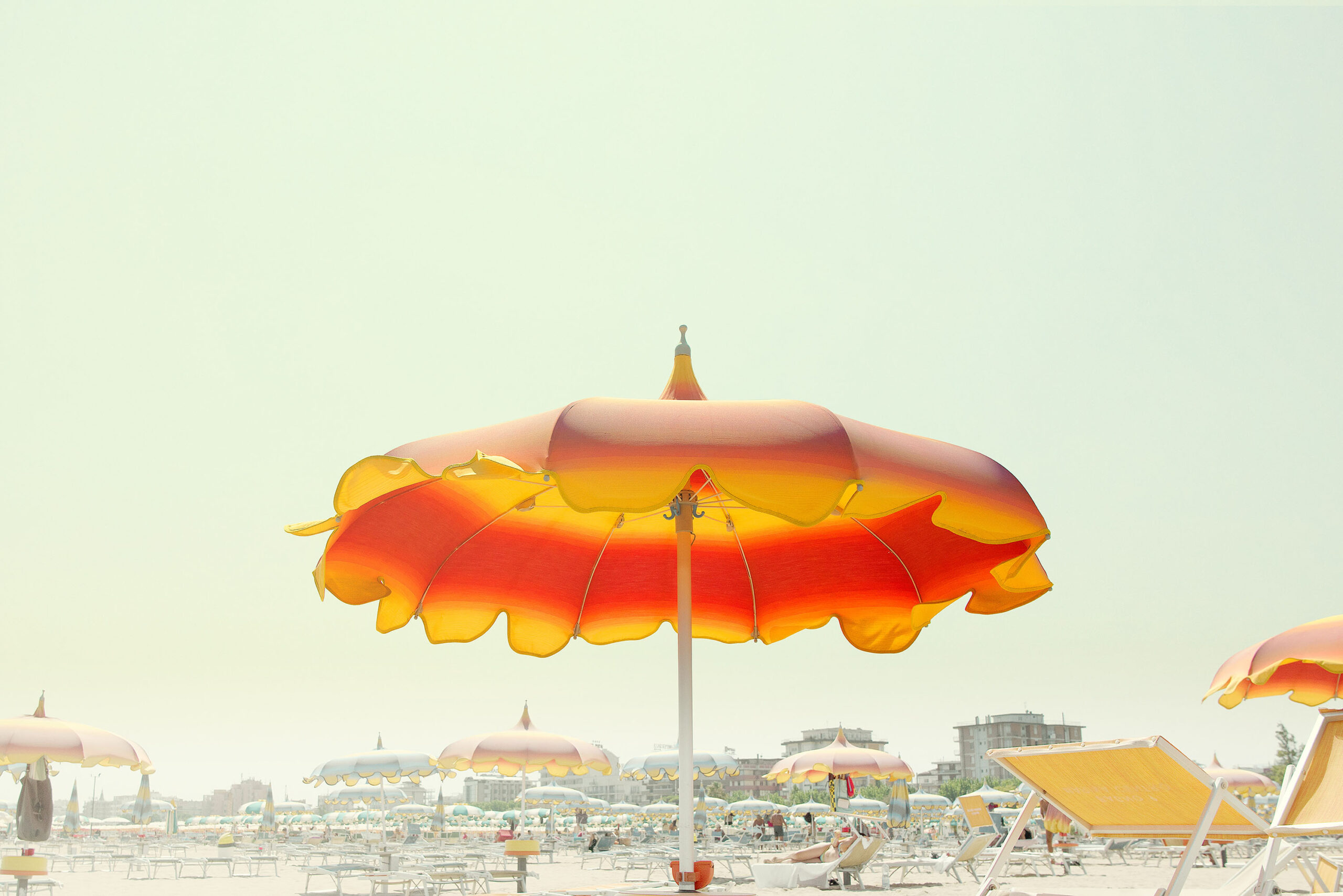 WREN-Nick_Meek-Rimini_16