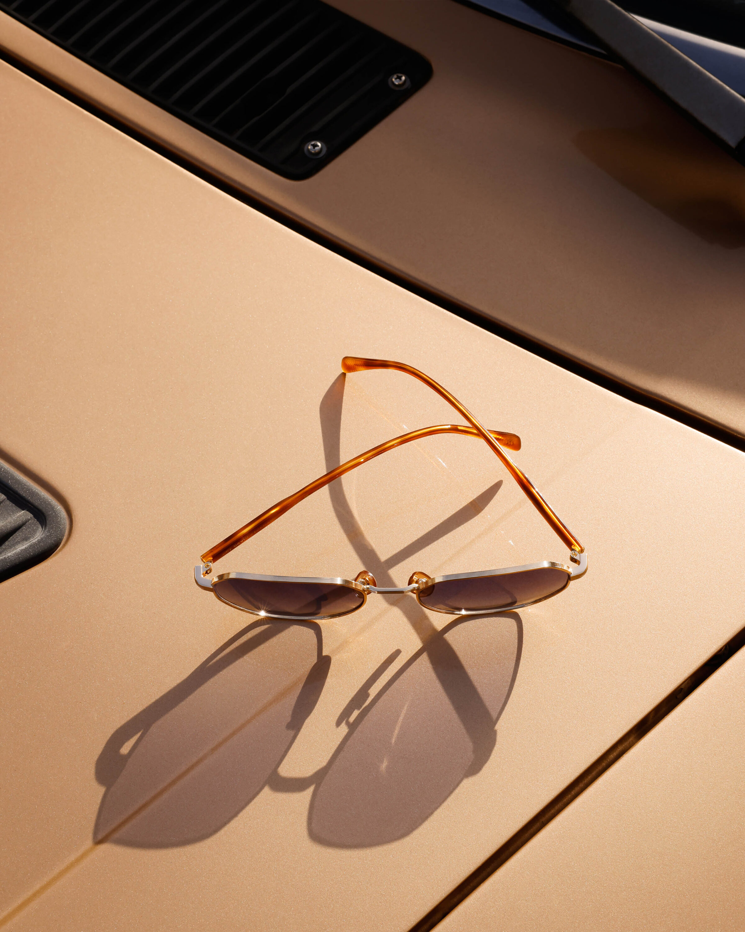 WREN-Roberto_Badin-RobertoBadinDBeckhamEyewear5608