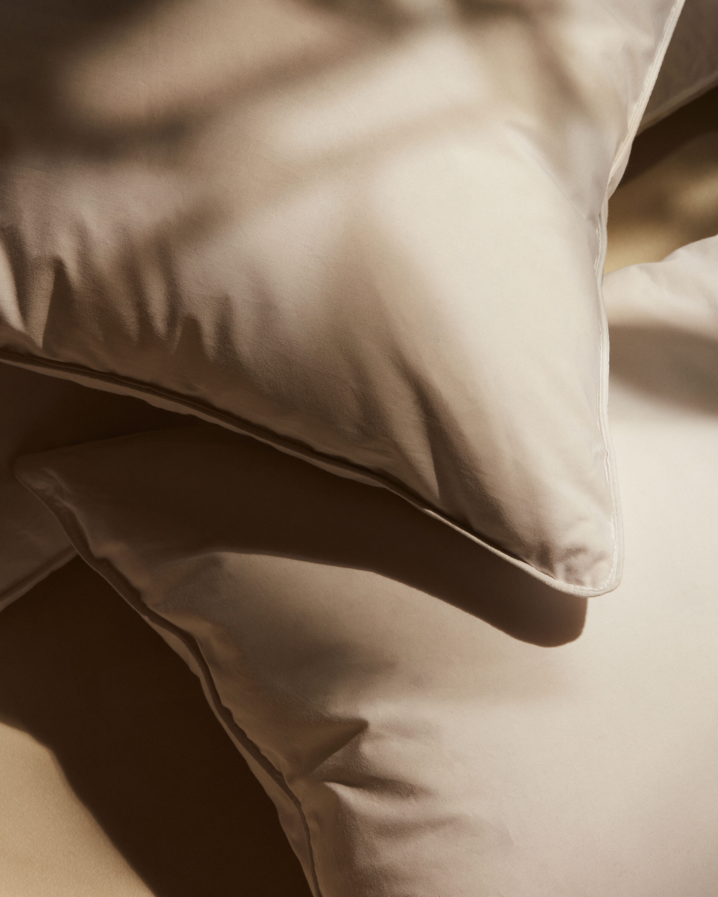 WREN-Luke_Evans-VISPRING_PRODUCT_4-1