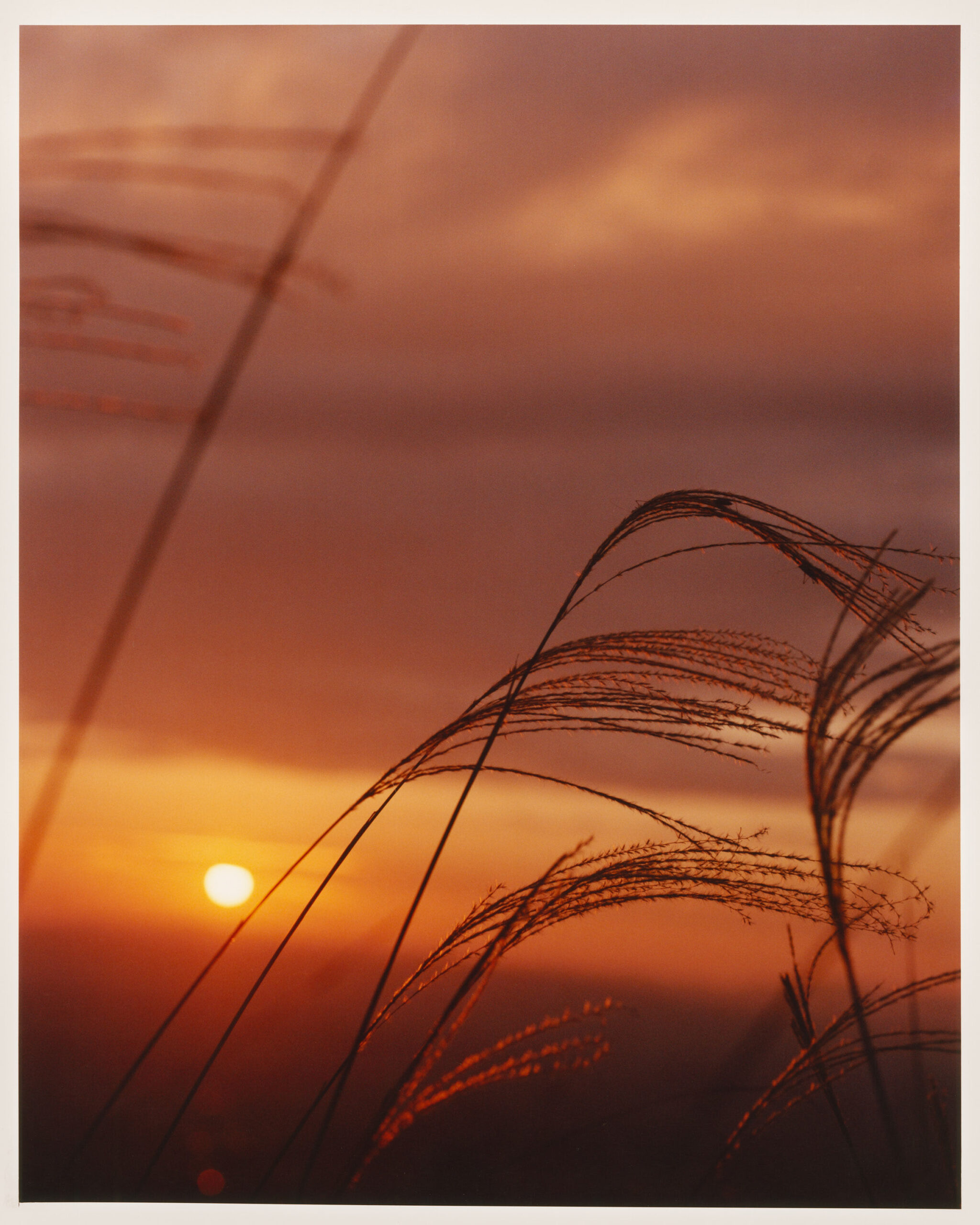 WREN-Luke_Evans_Japan_24