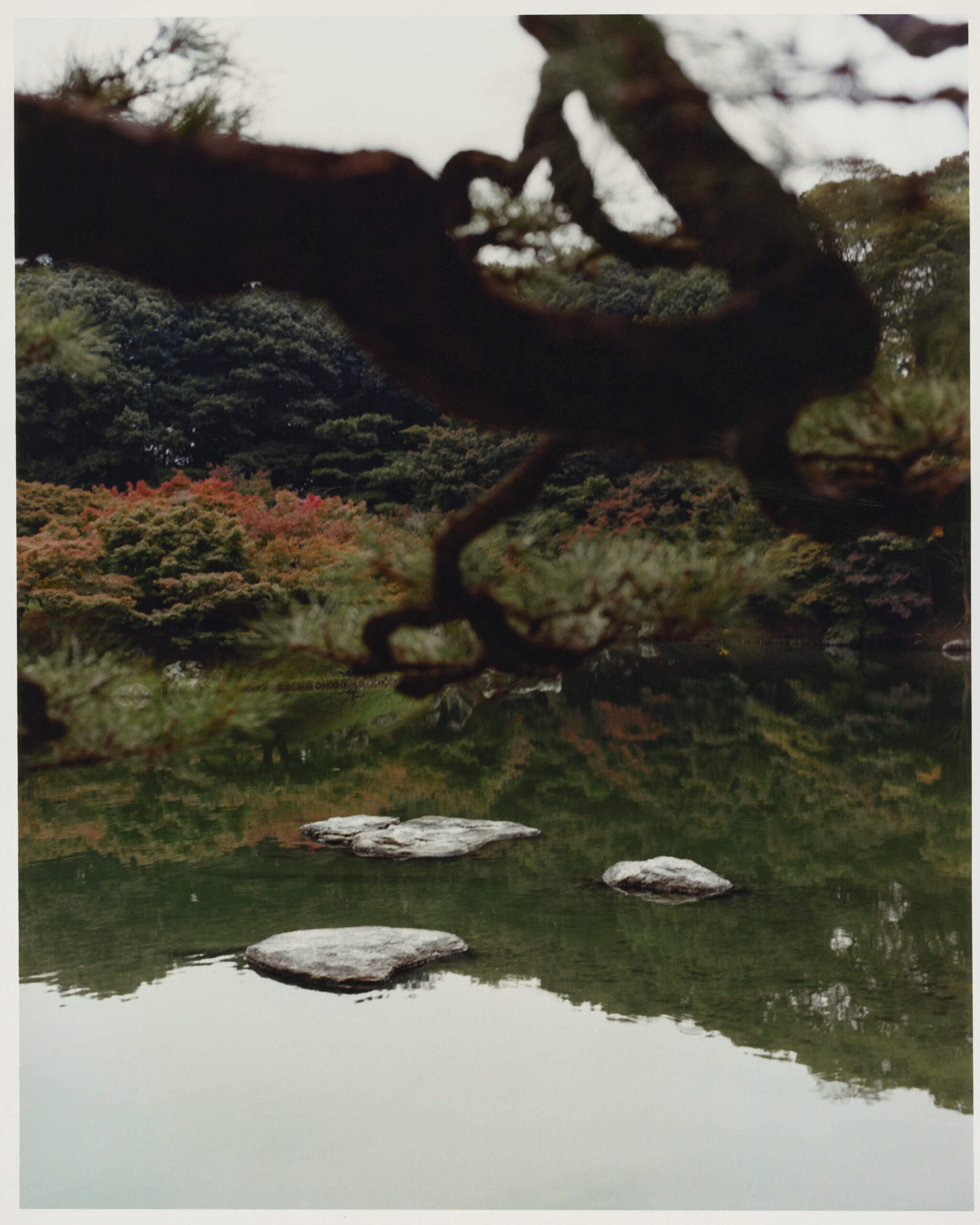 WREN-Luke_Evans_Japan_31