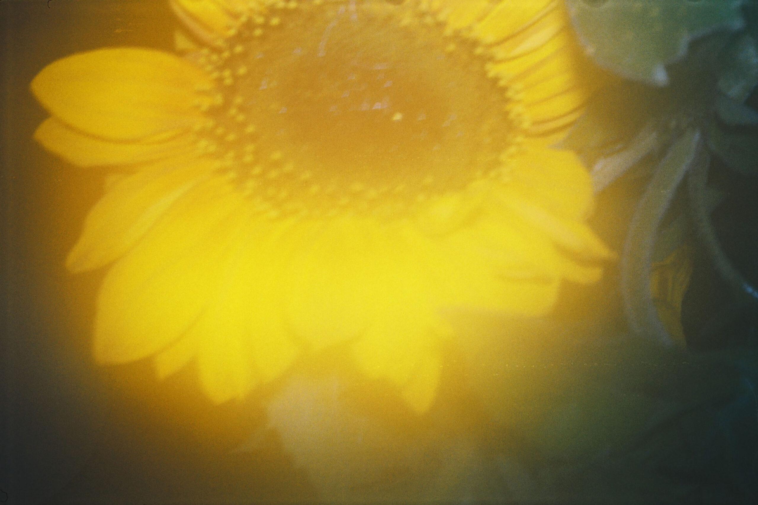 WREN-Marcus_Palmqvist-0856 (31)