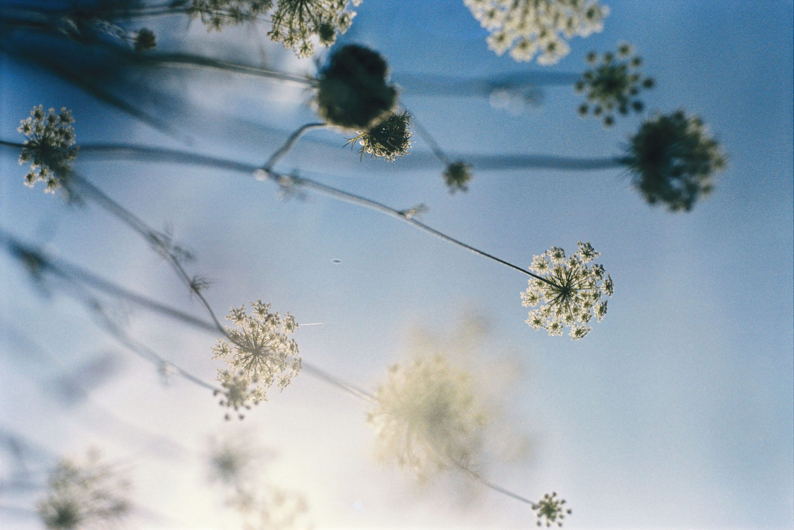 WREN-Marcus_Palmqvist-2287 (21)