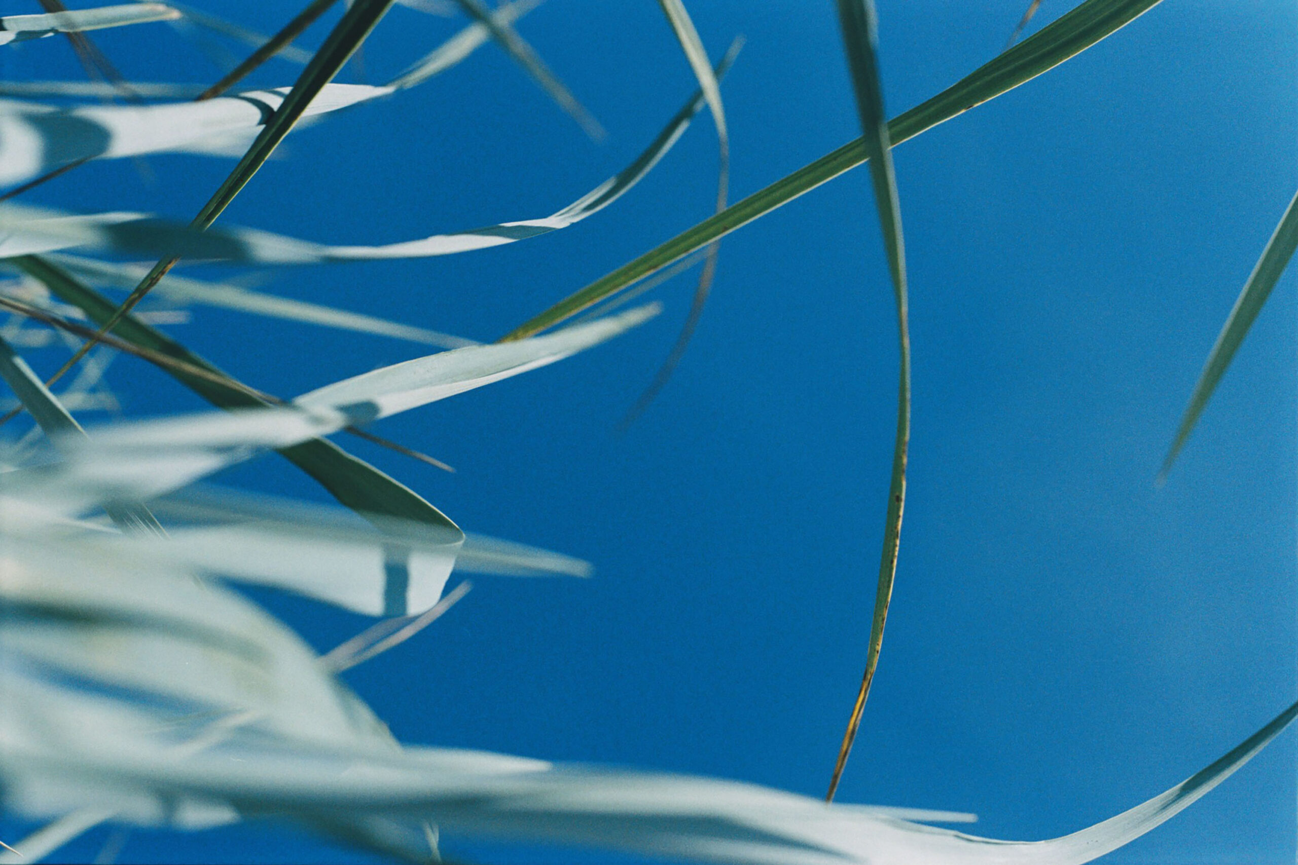 WREN-Marcus_Palmqvist-2287 (29)