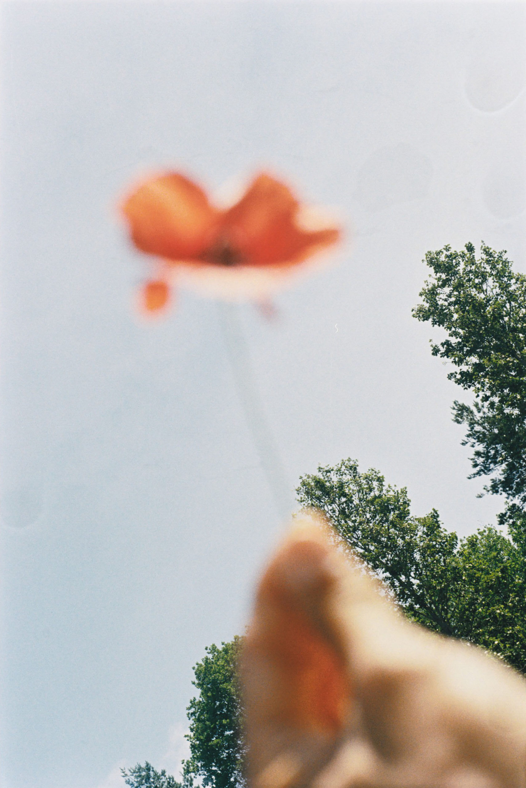 WREN-Marcus_Palmqvist-2288 (5)