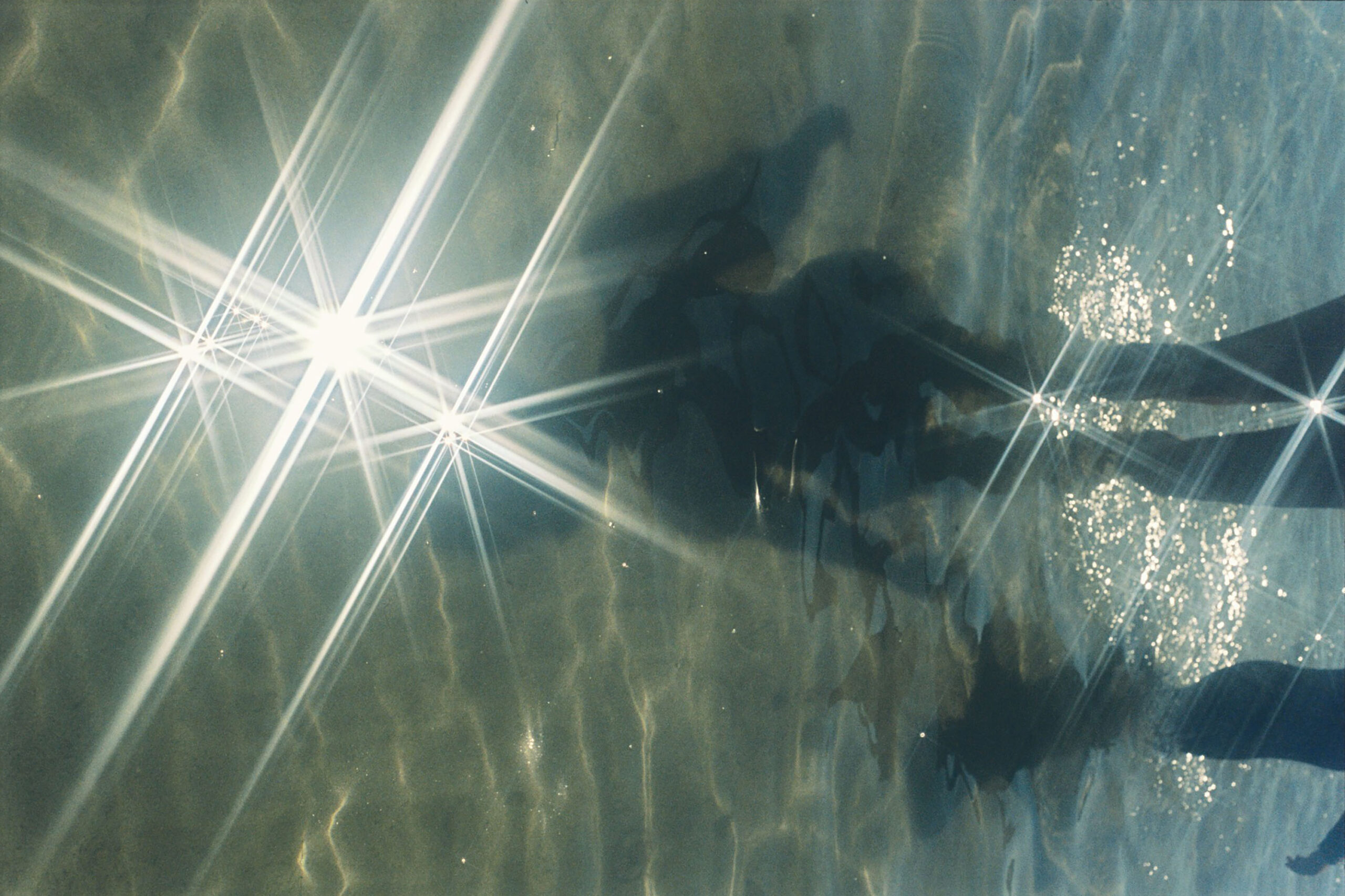 WREN-Marcus_Palmqvist-2289 (6)