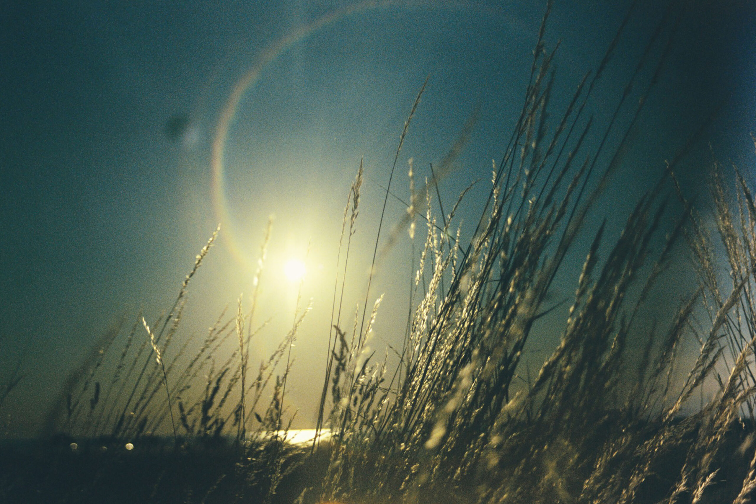 WREN-Marcus_Palmqvist-7292 (28)