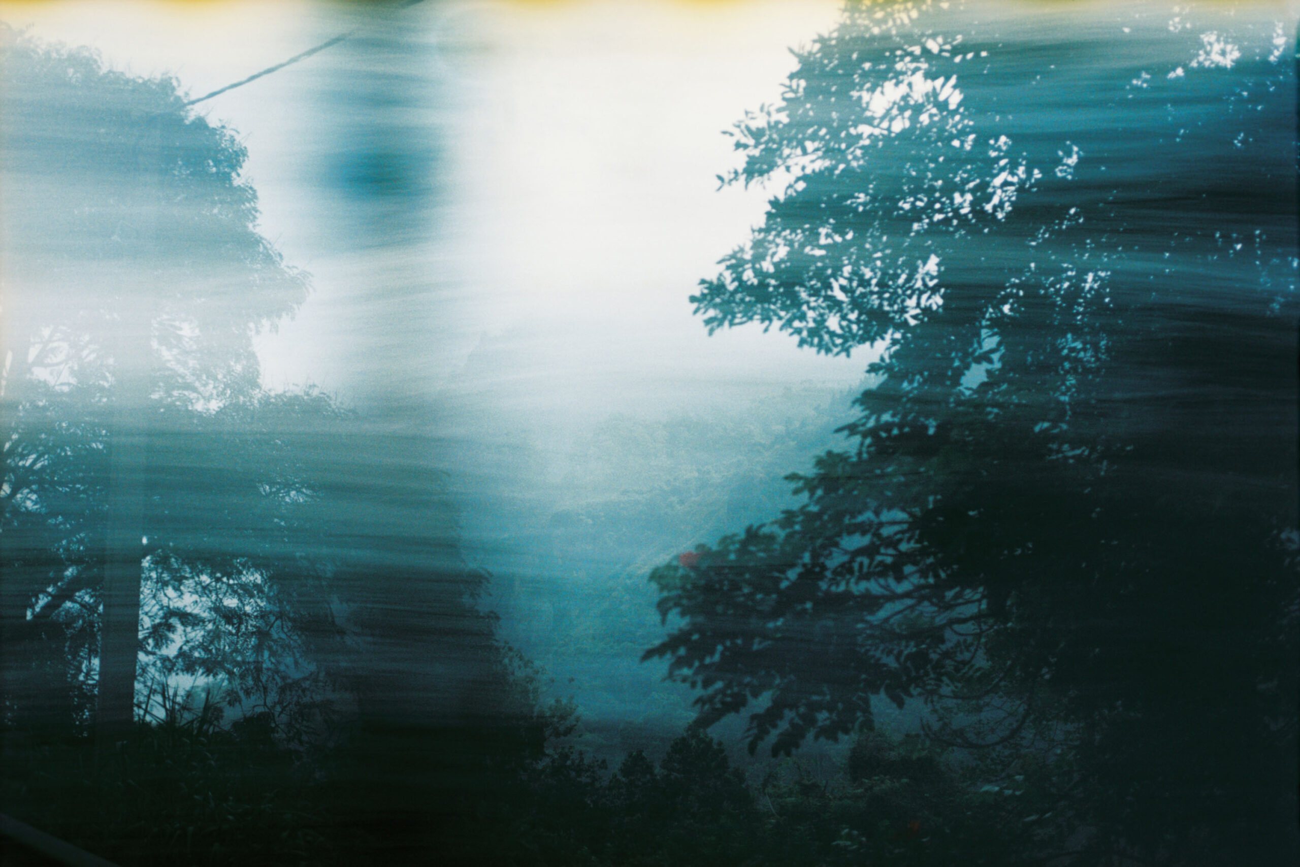 WREN-Marcus_Palmqvist-R1-06927-0010