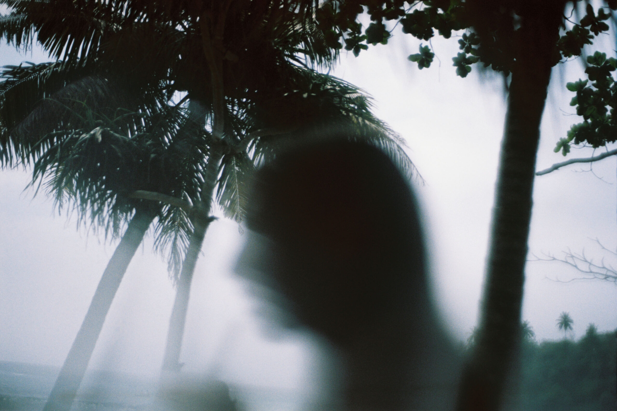 WREN-Marcus_Palmqvist-R1-06933-0007