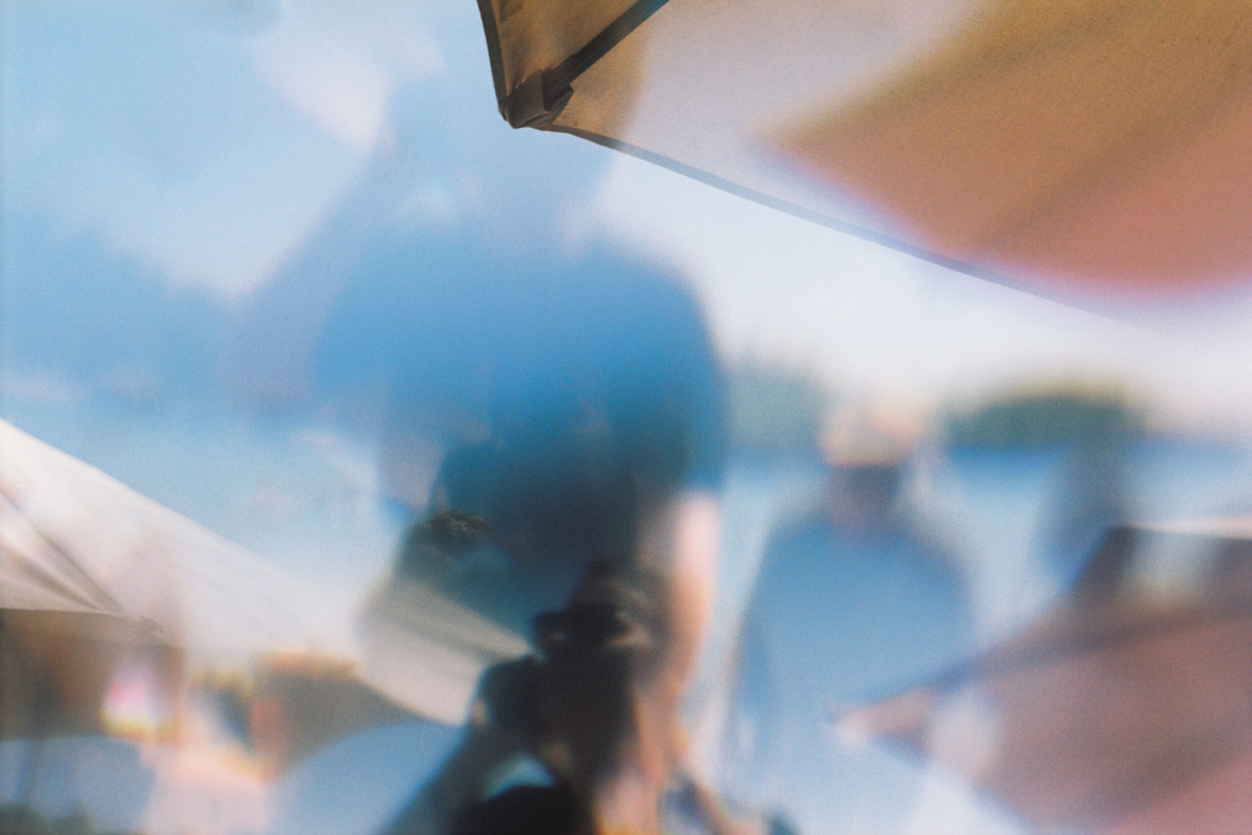 WREN-Marcus_Palmqvist-R1-06933-0024