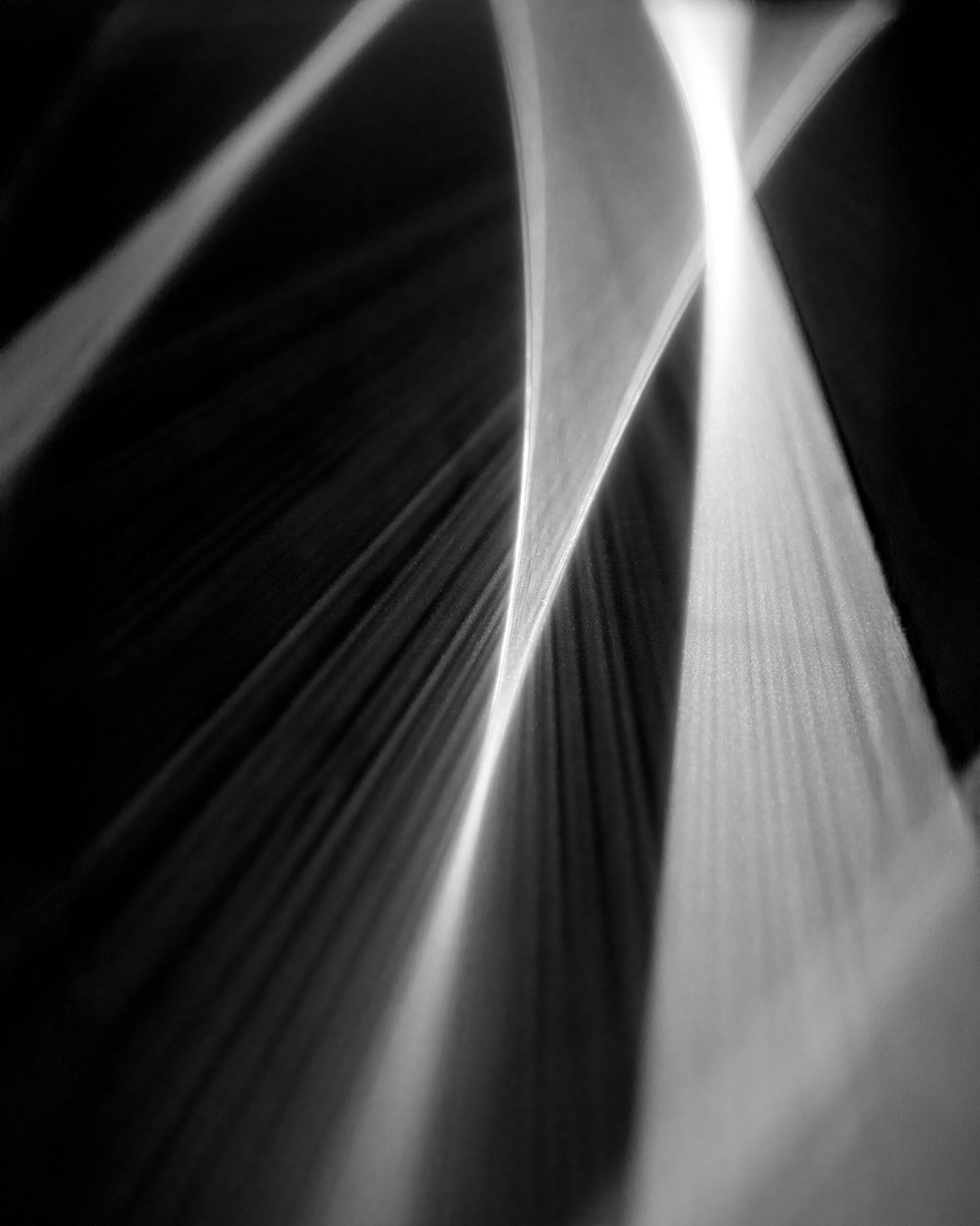 WREN-Richard-Foster-StMartin5