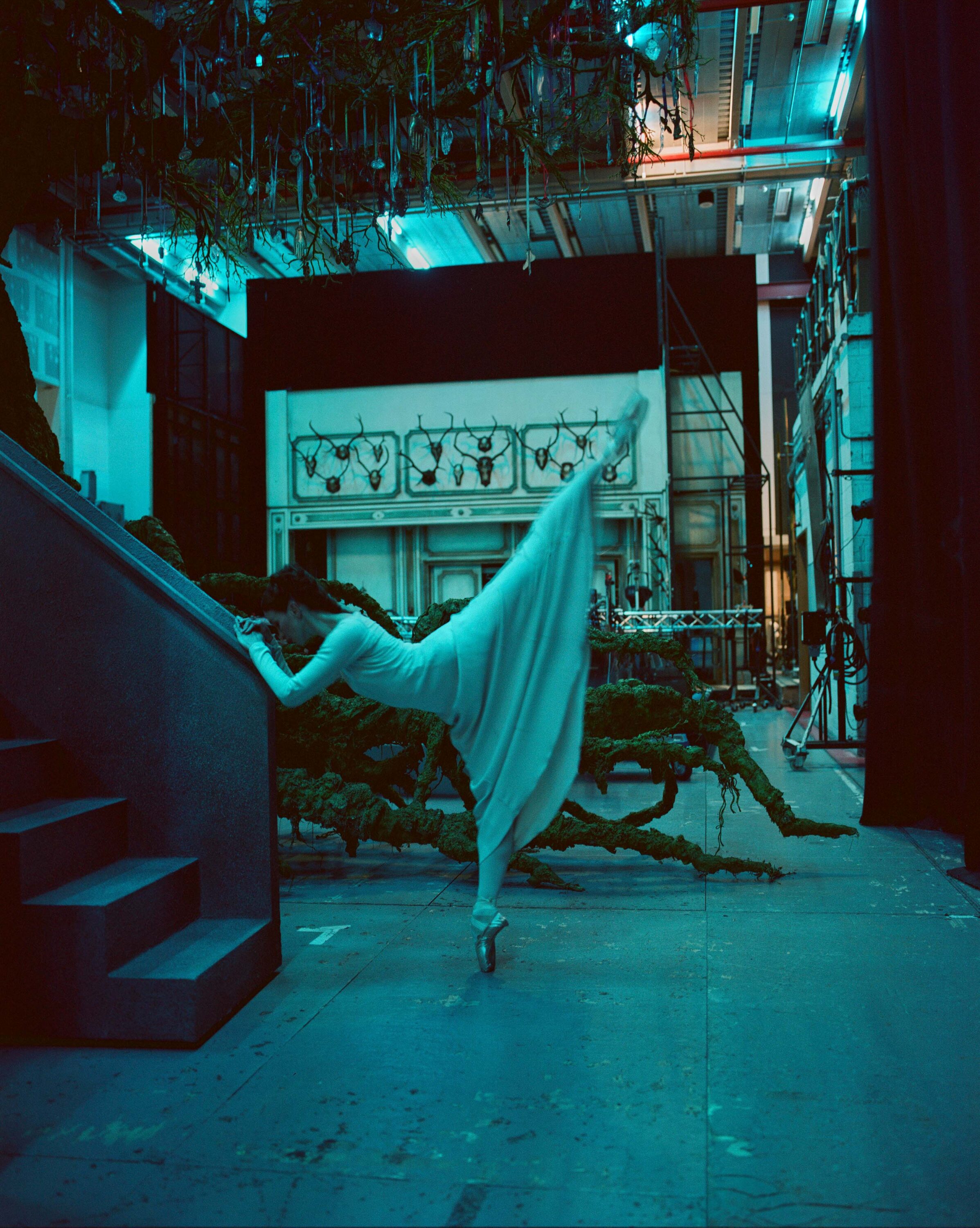 WREN-Rachel_Louise_Brown-000065550002