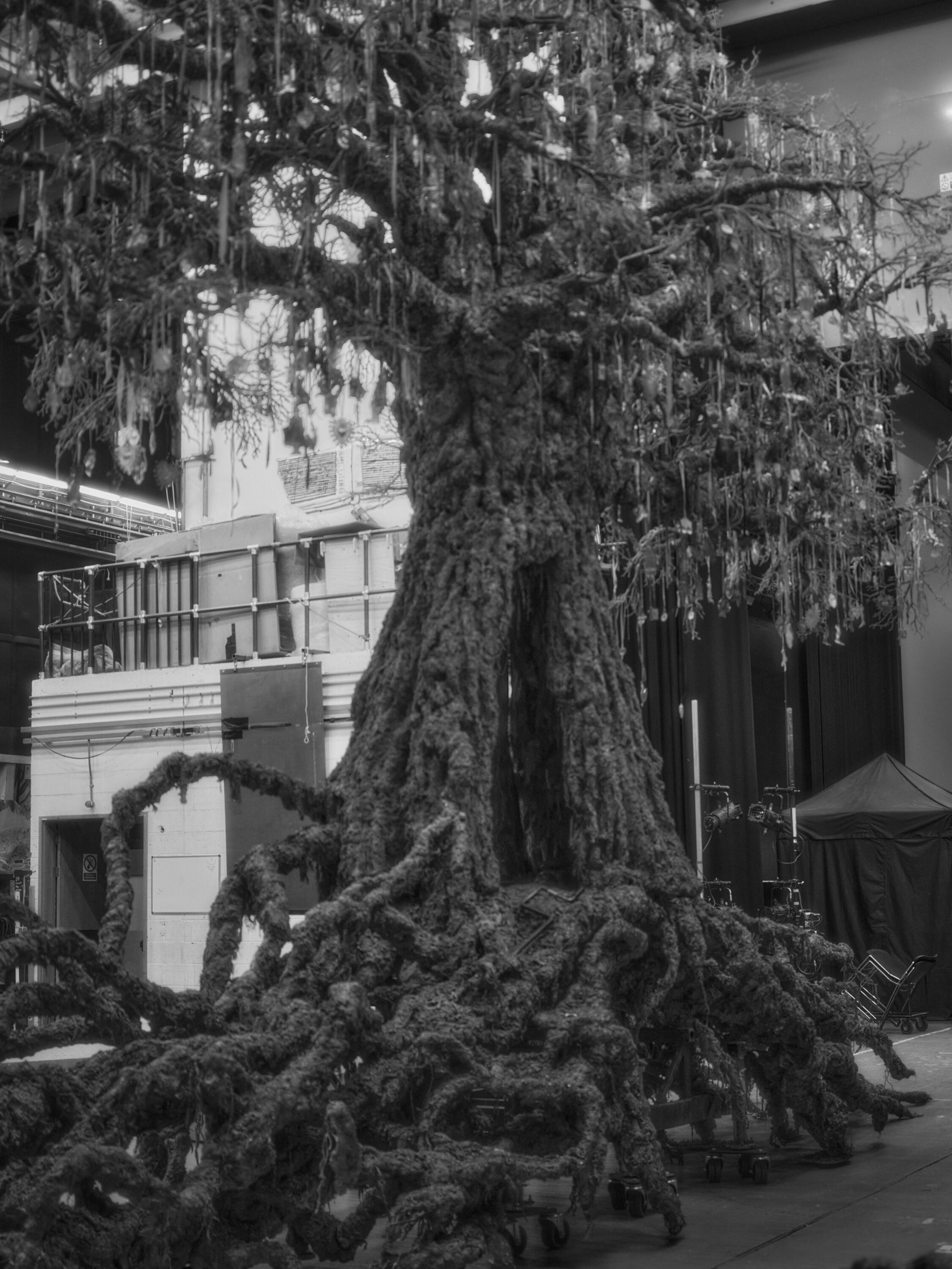 WREN-Rachel_Louise_Brown-DSCF7964