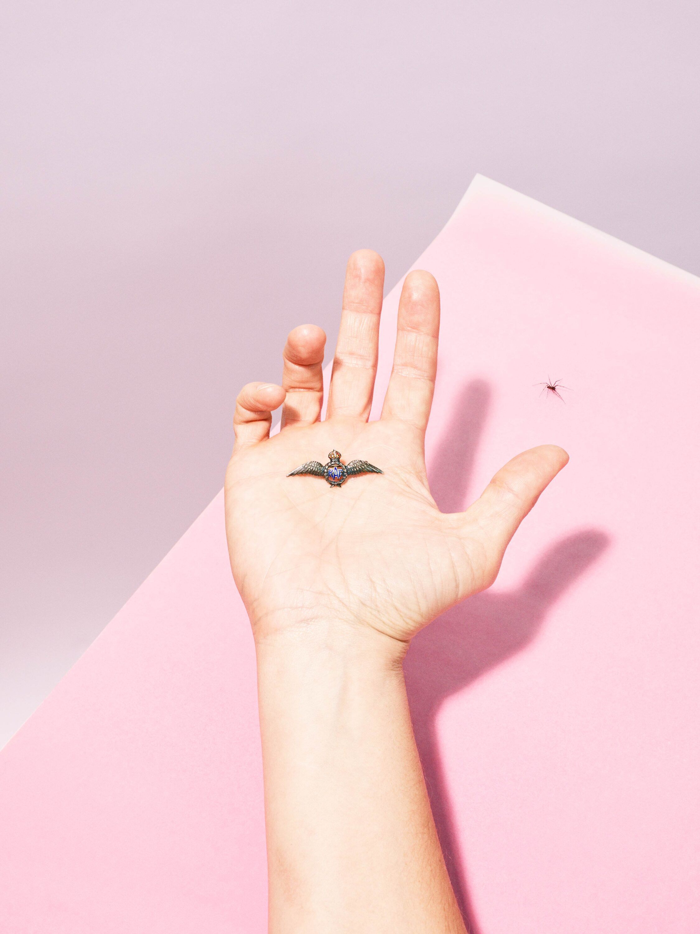 WrenAgency_FelicityMcCabe-RELIC-Badges_RAF_sRGB