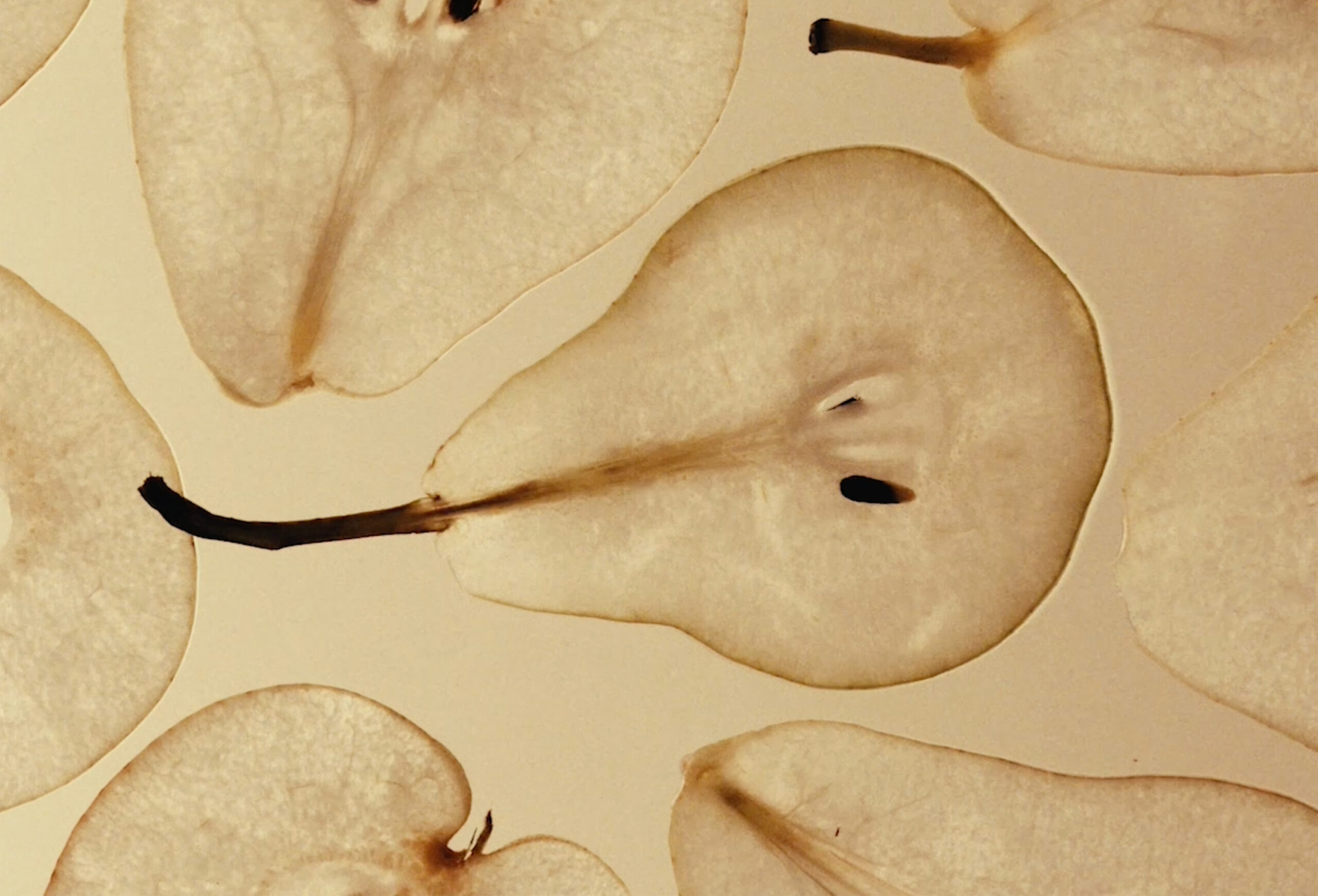 WREN-LUKE_EVANS-FFERN-TITLE-IMAGE