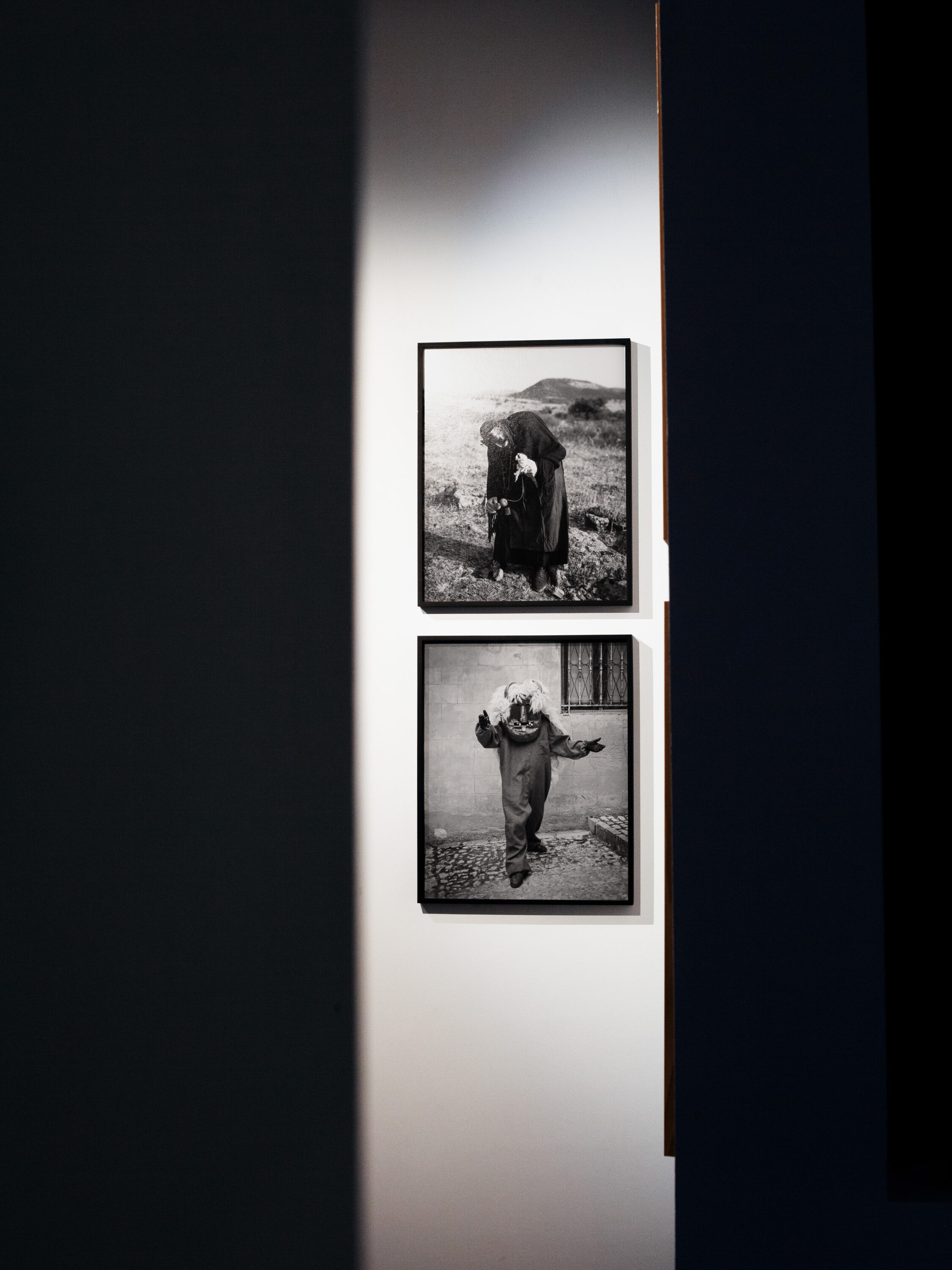 WREN-RabbitHole-Install_MG_1359