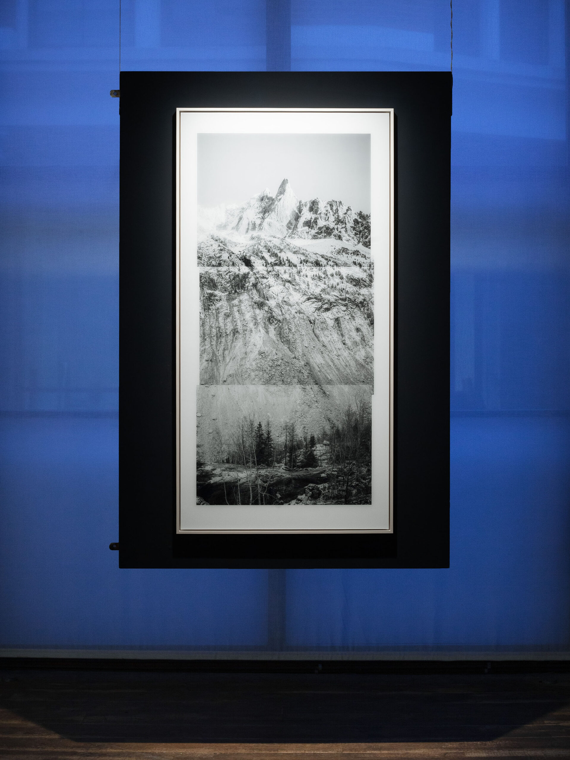 WREN-RabbitHole-Install_MG_1372