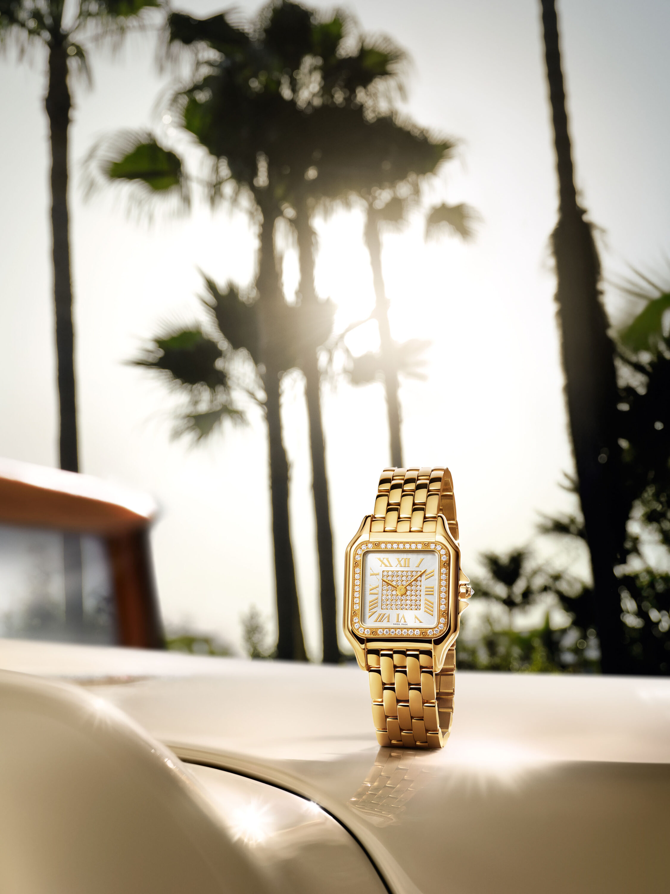 WREN-RobertoBadin-RBadinCartierMontre1