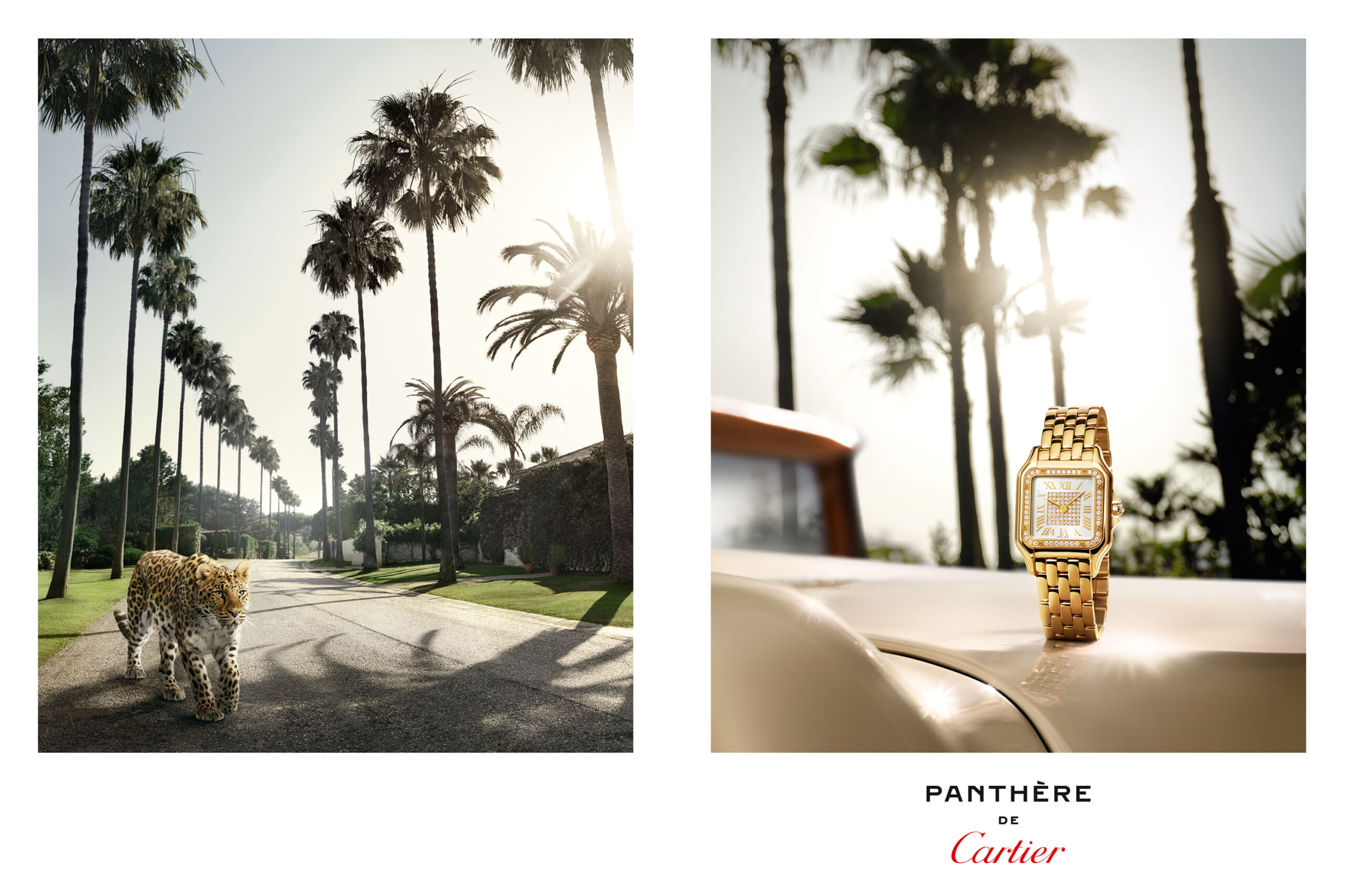 WREN-RobertoBadin-RBadinCartierMontre1etPanthere