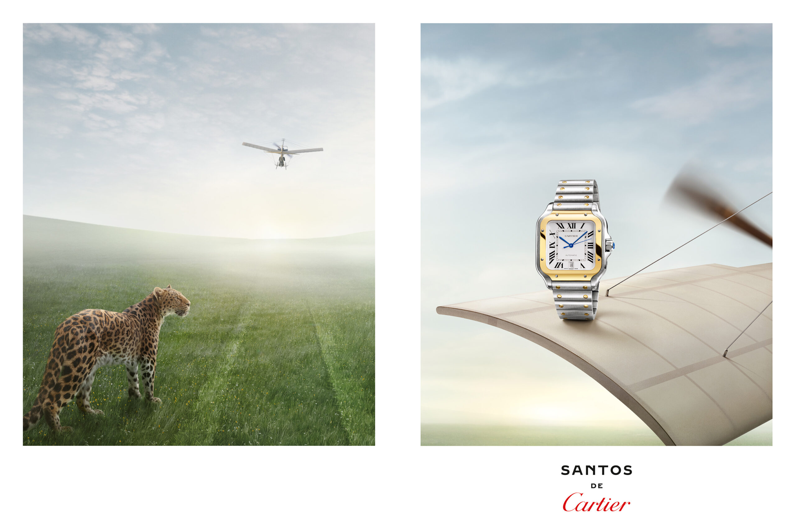 WREN-RobertoBadin-RBadinCartierSantosBlancAvion