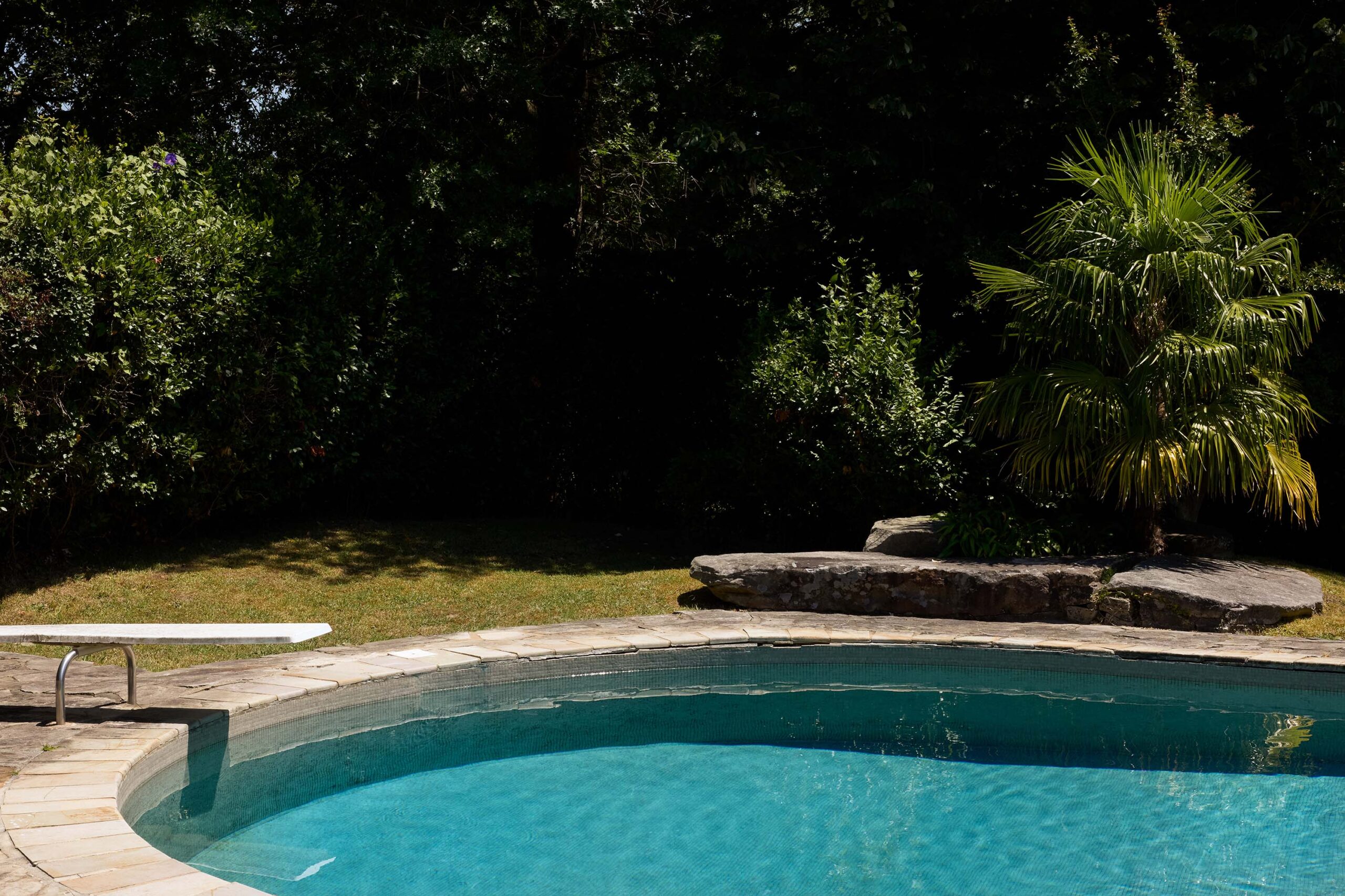 WREN-RobertoBadinCherenda0505